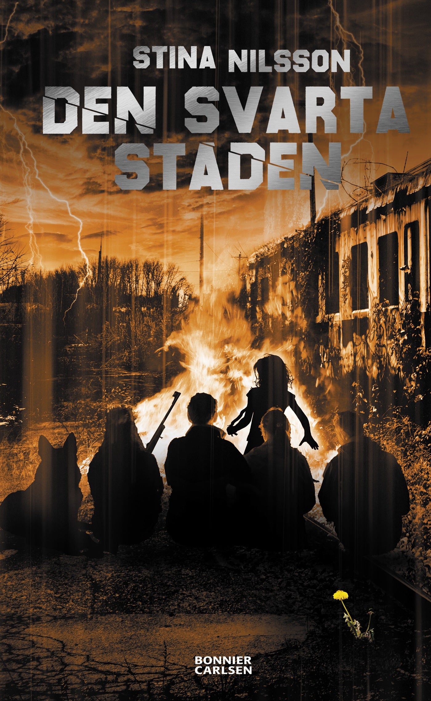 Den svarta staden – E-bok
