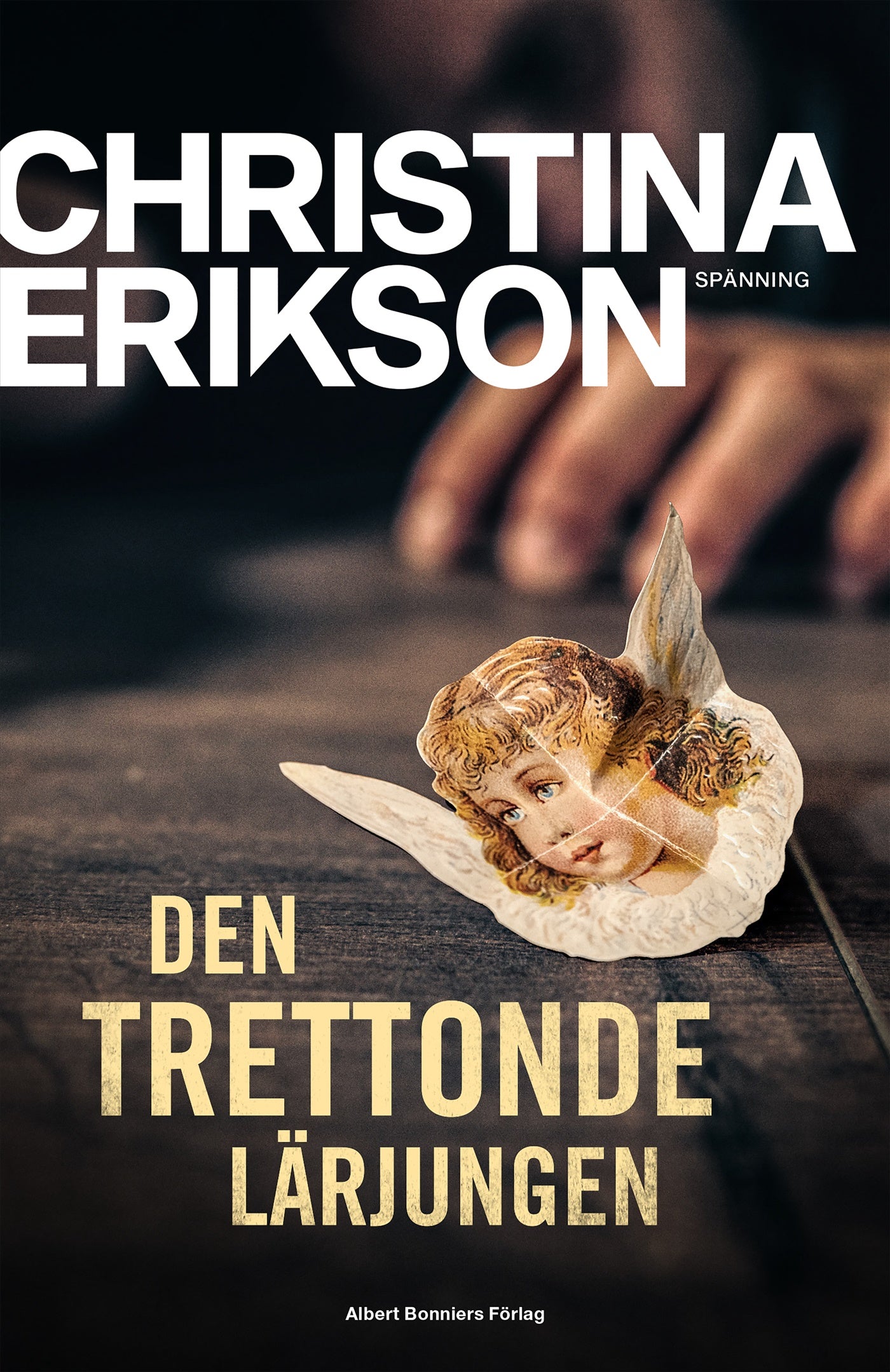 Den trettonde lärjungen – E-bok