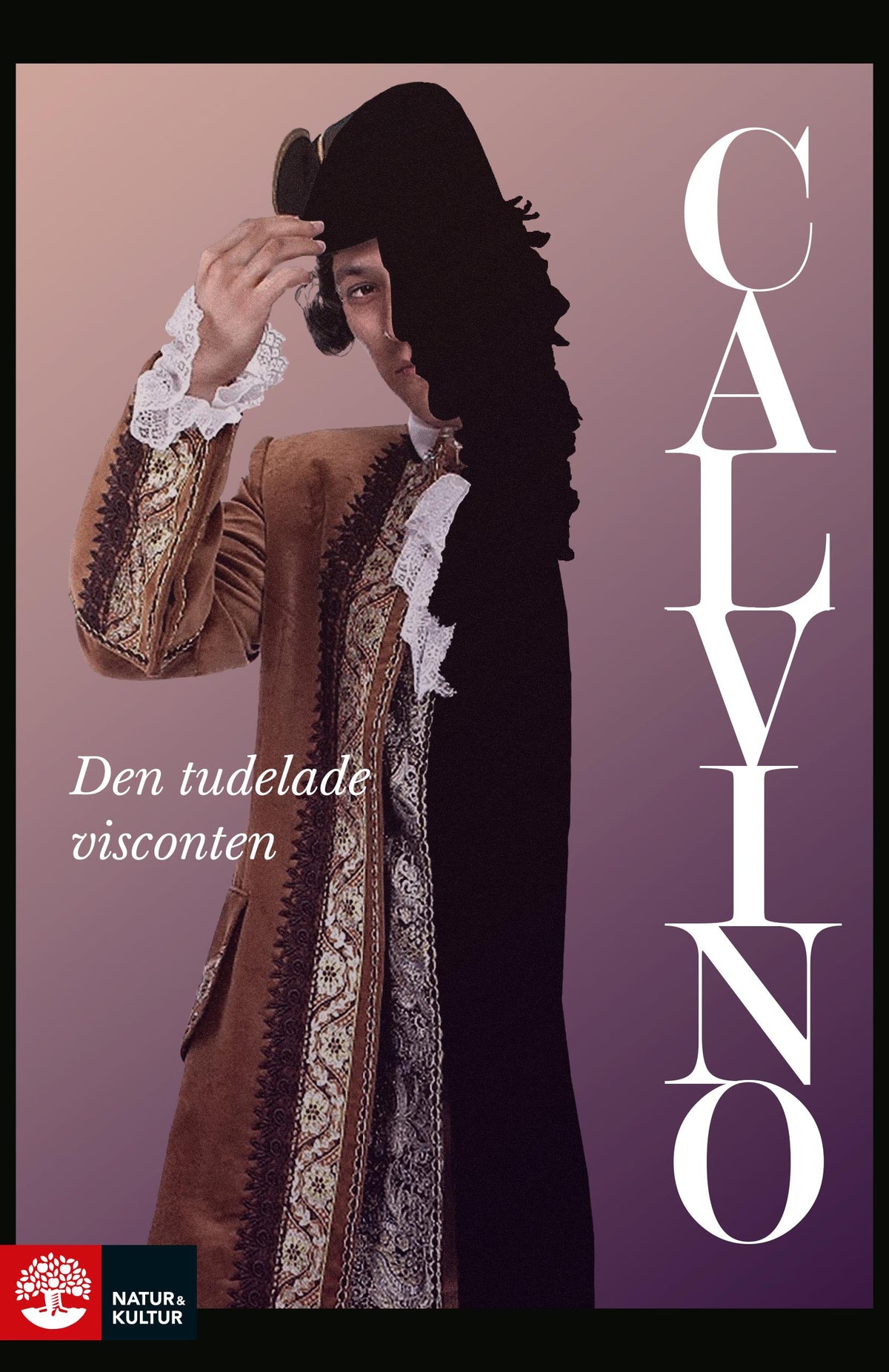 Den tudelade visconten – E-bok