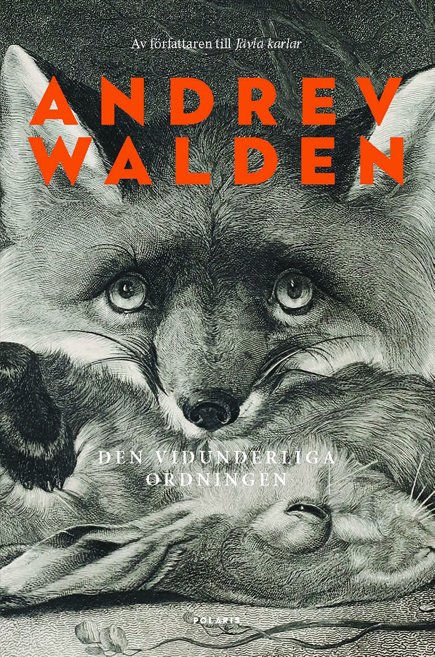Den vidunderliga ordningen – E-bok