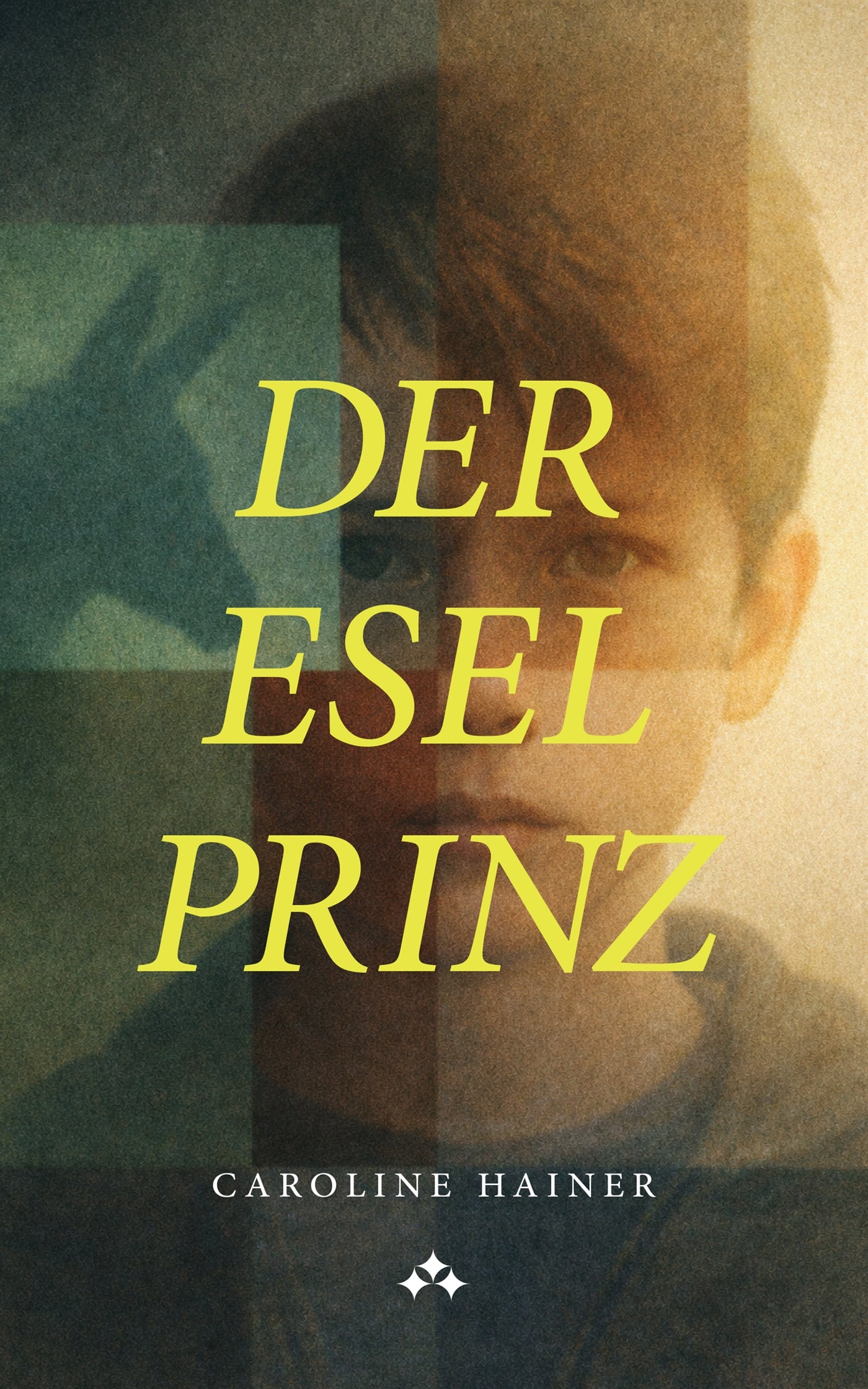Der Esel-Prinz – E-bok
