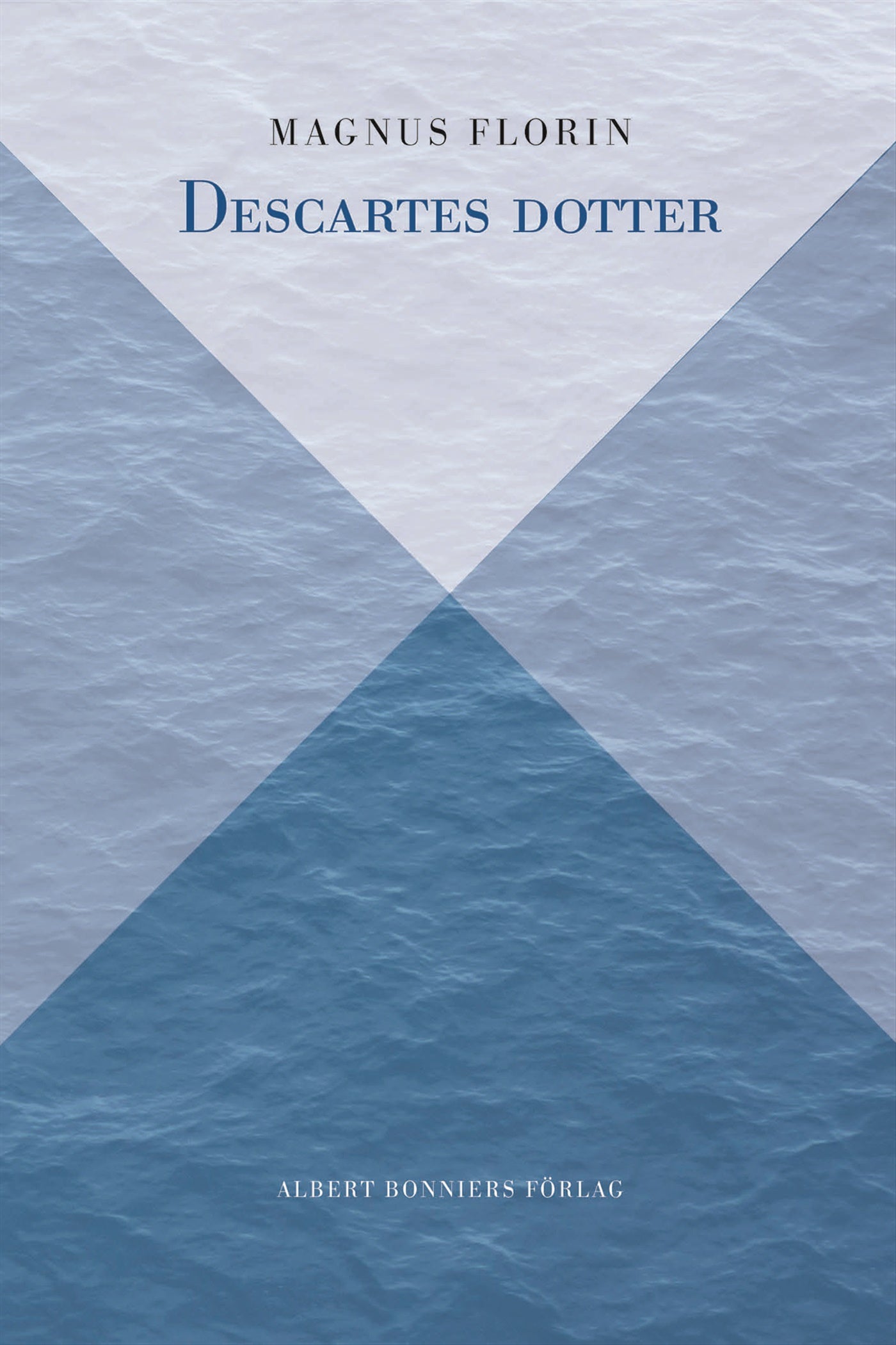 Descartes dotter – E-bok