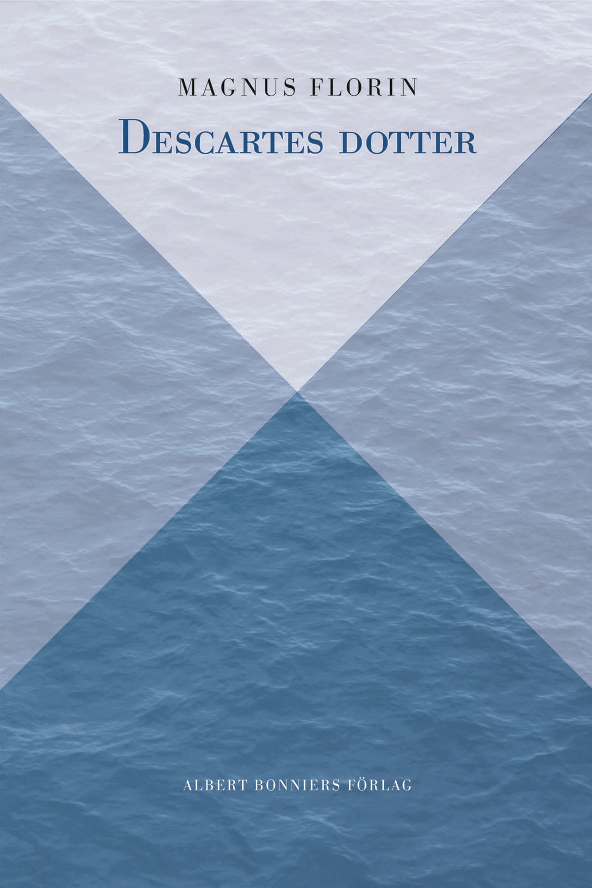 Descartes dotter – E-bok