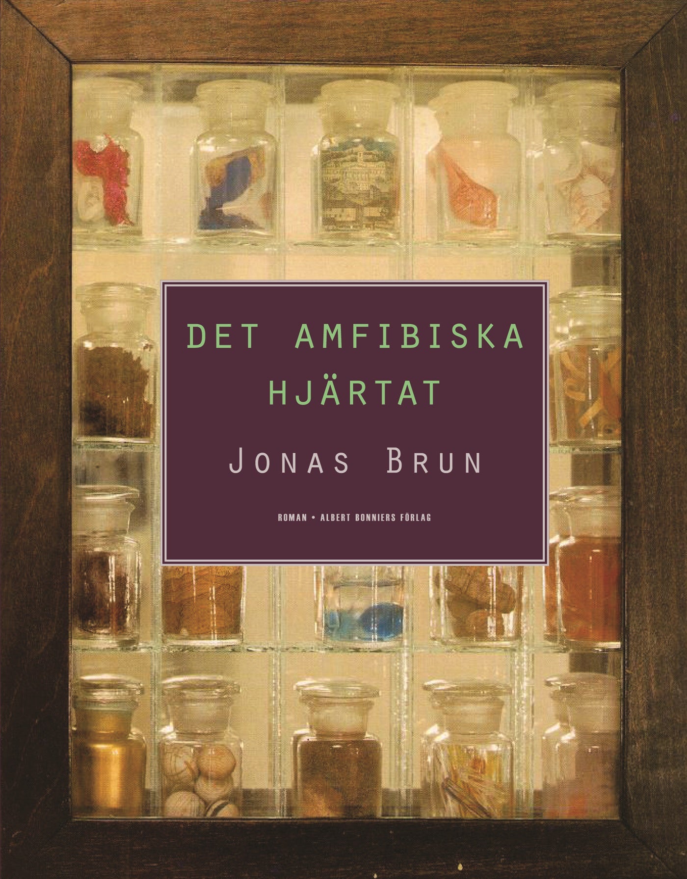Det amfibiska hjärtat – E-bok