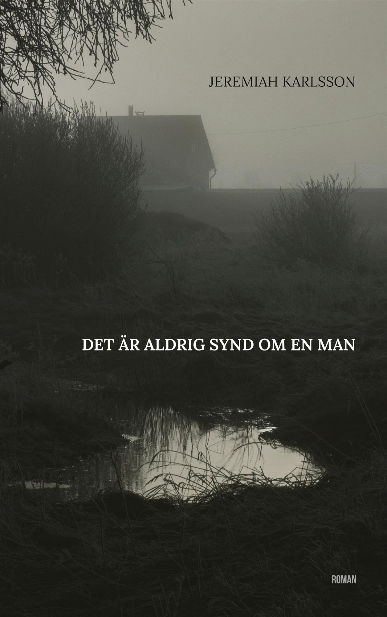 Det är aldrig synd om en man – E-bok