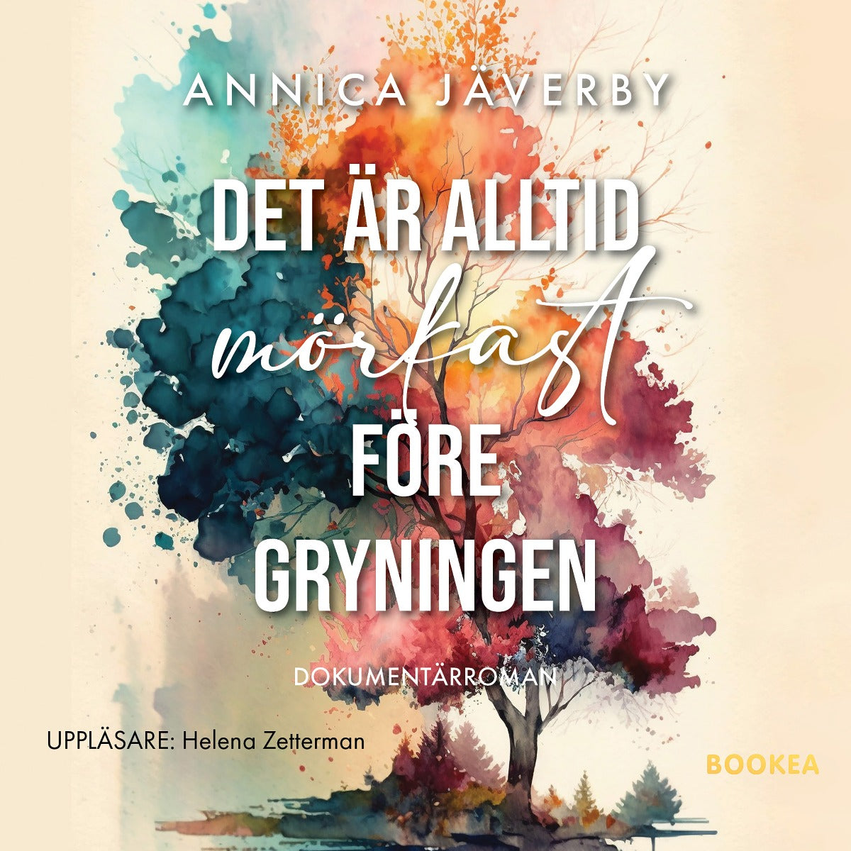 Det är alltid mörkast före gryningen – Ljudbok