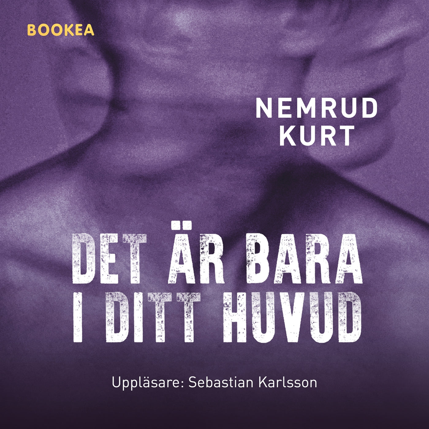Det är bara i ditt huvud – Ljudbok