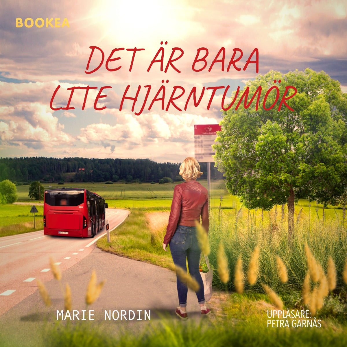 Det är bara lite hjärntumör – Ljudbok