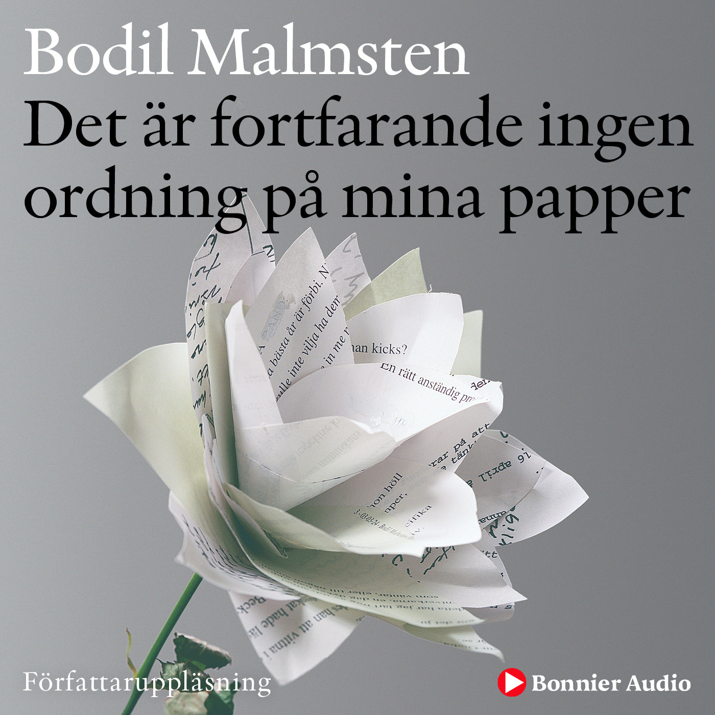 Det är fortfarande ingen ordning på mina papper – Ljudbok