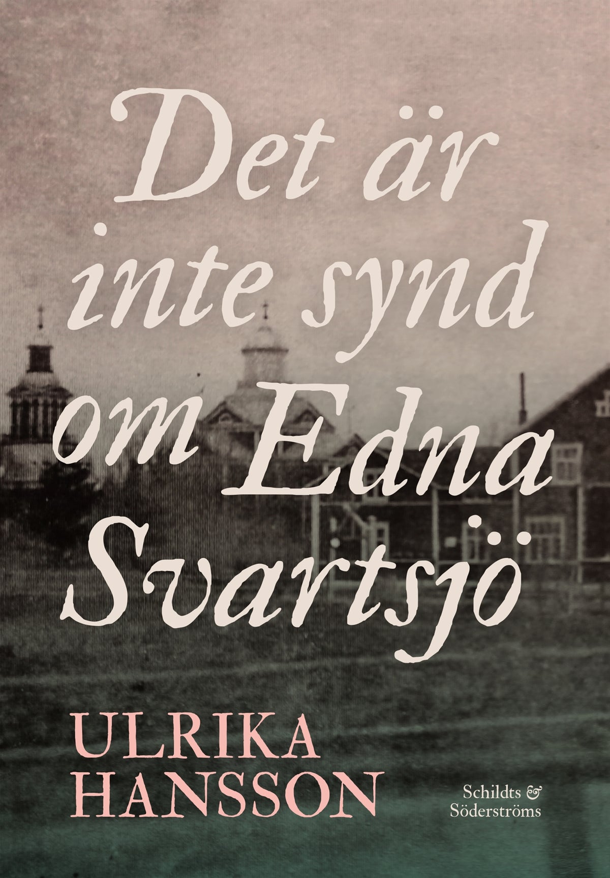 Det är inte synd om Edna Svartsjö – E-bok