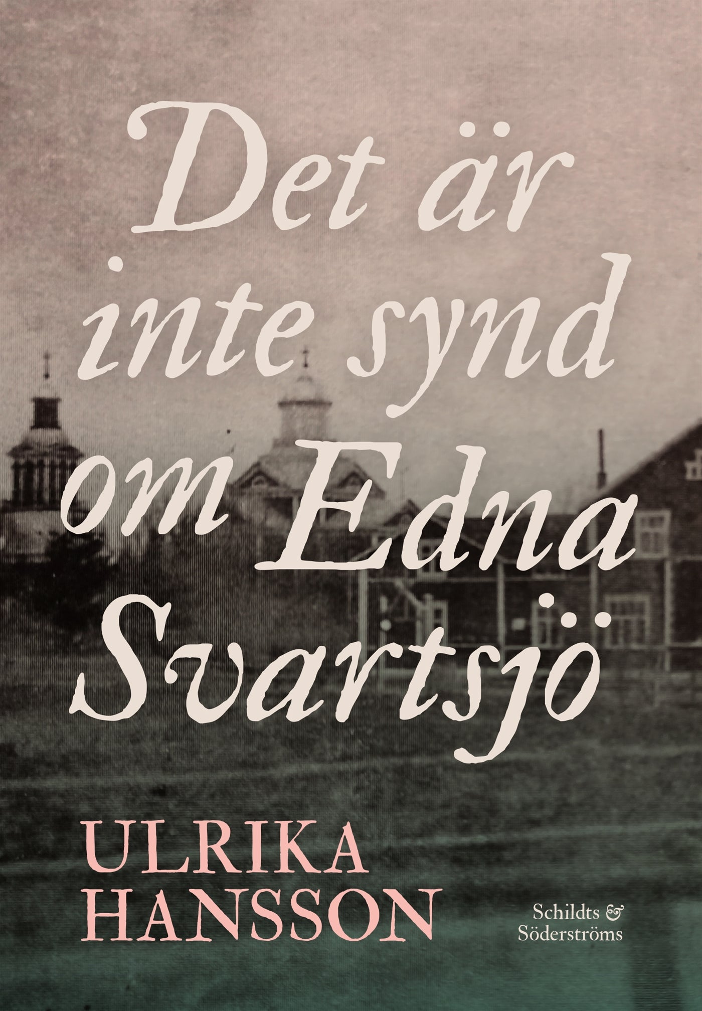 Det är inte synd om Edna Svartsjö – E-bok