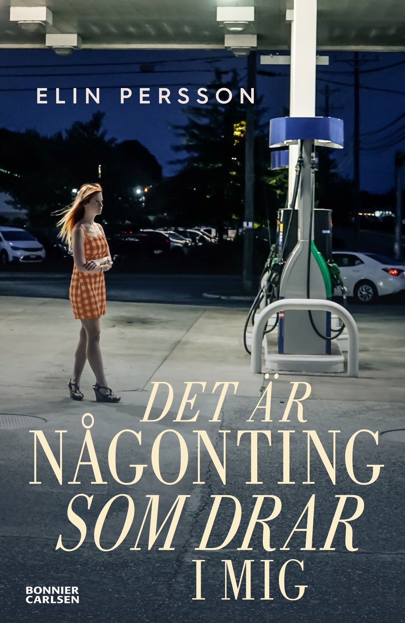 Det är någonting som drar i mig – E-bok