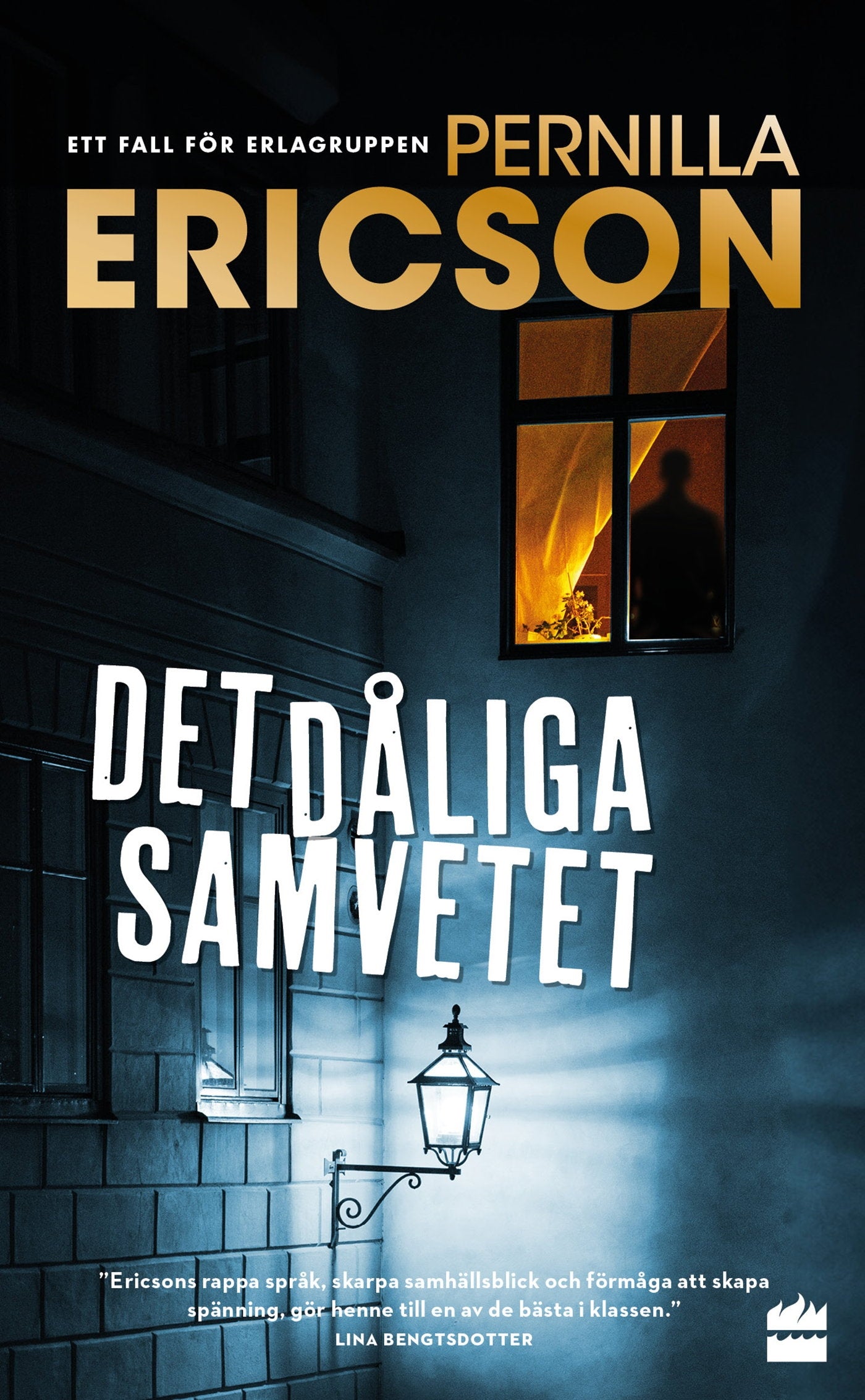 Det dåliga samvetet – E-bok