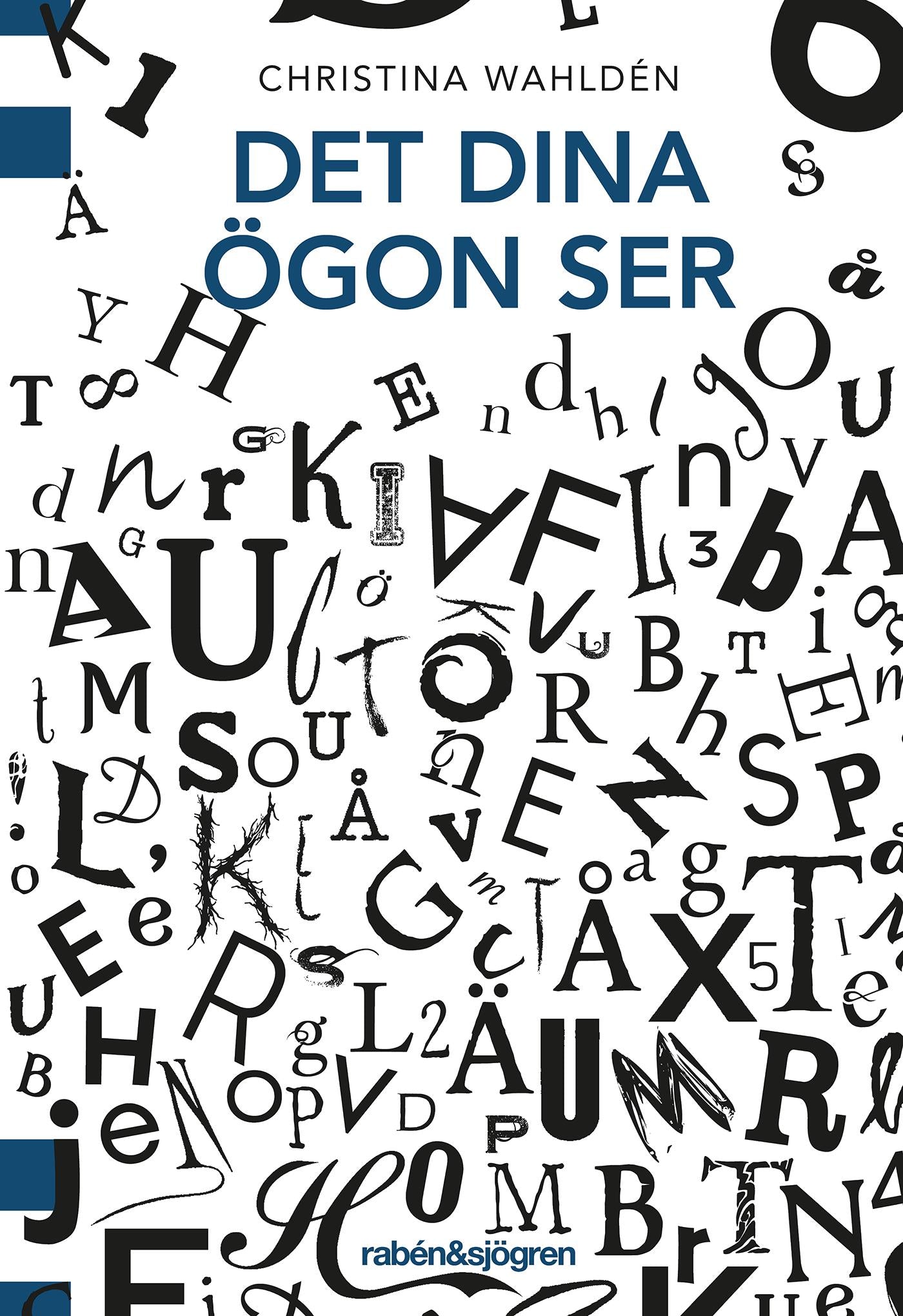 Det dina ögon ser – E-bok