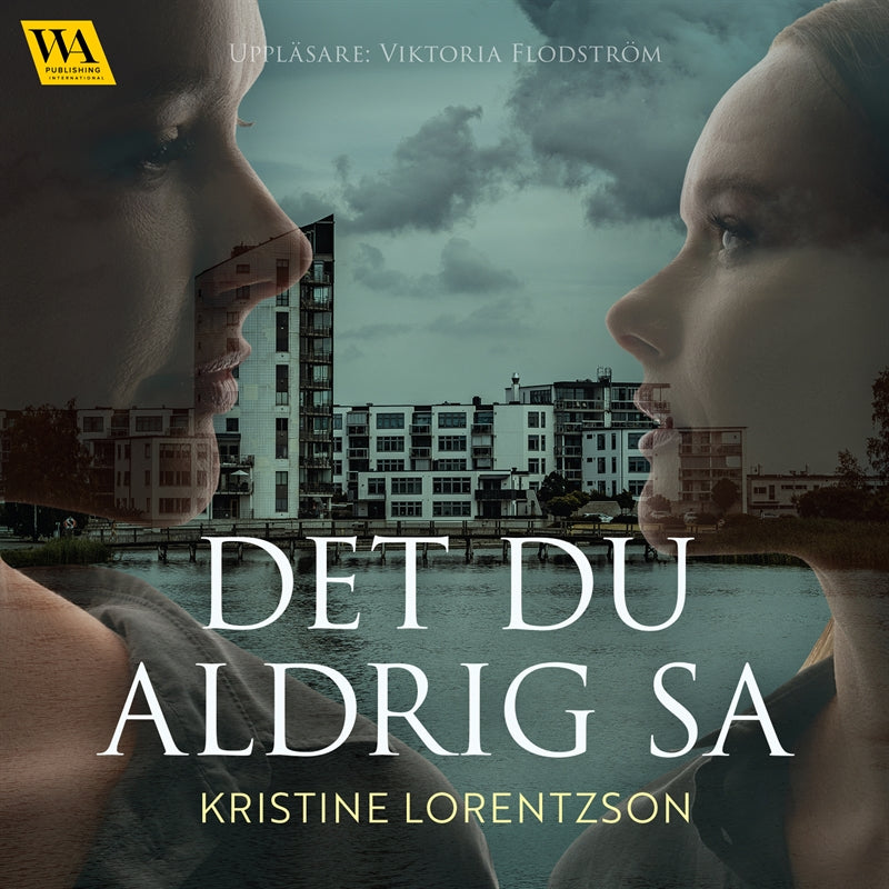 Det du aldrig sa – Ljudbok