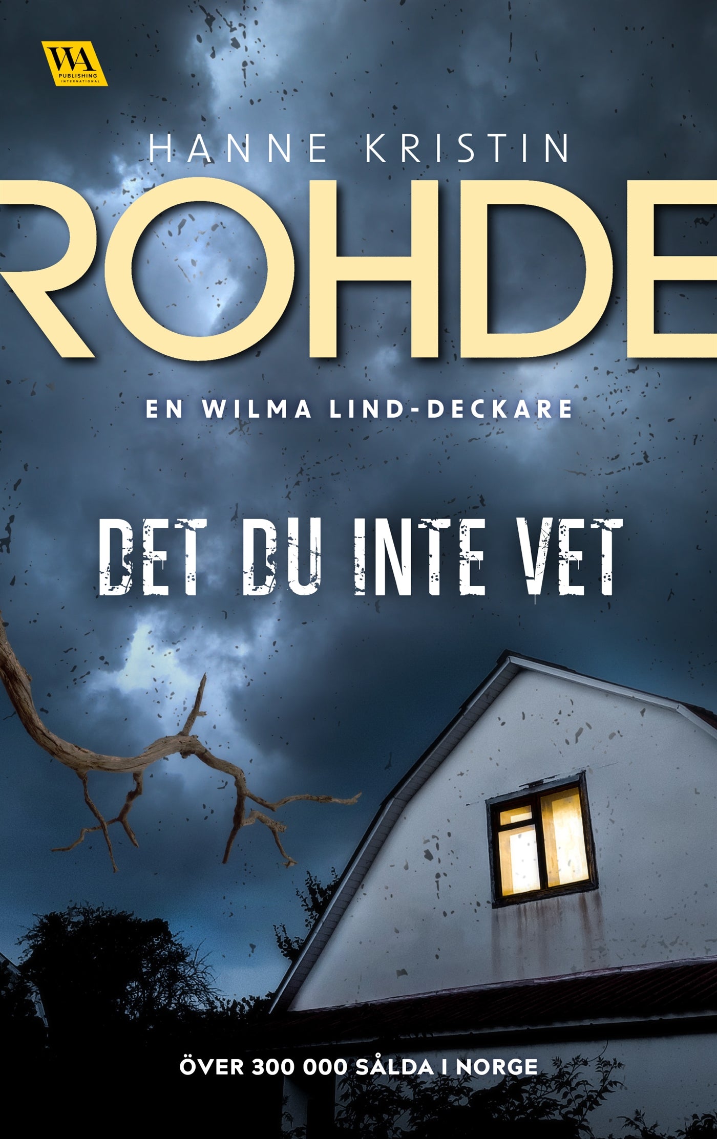 Det du inte vet – E-bok