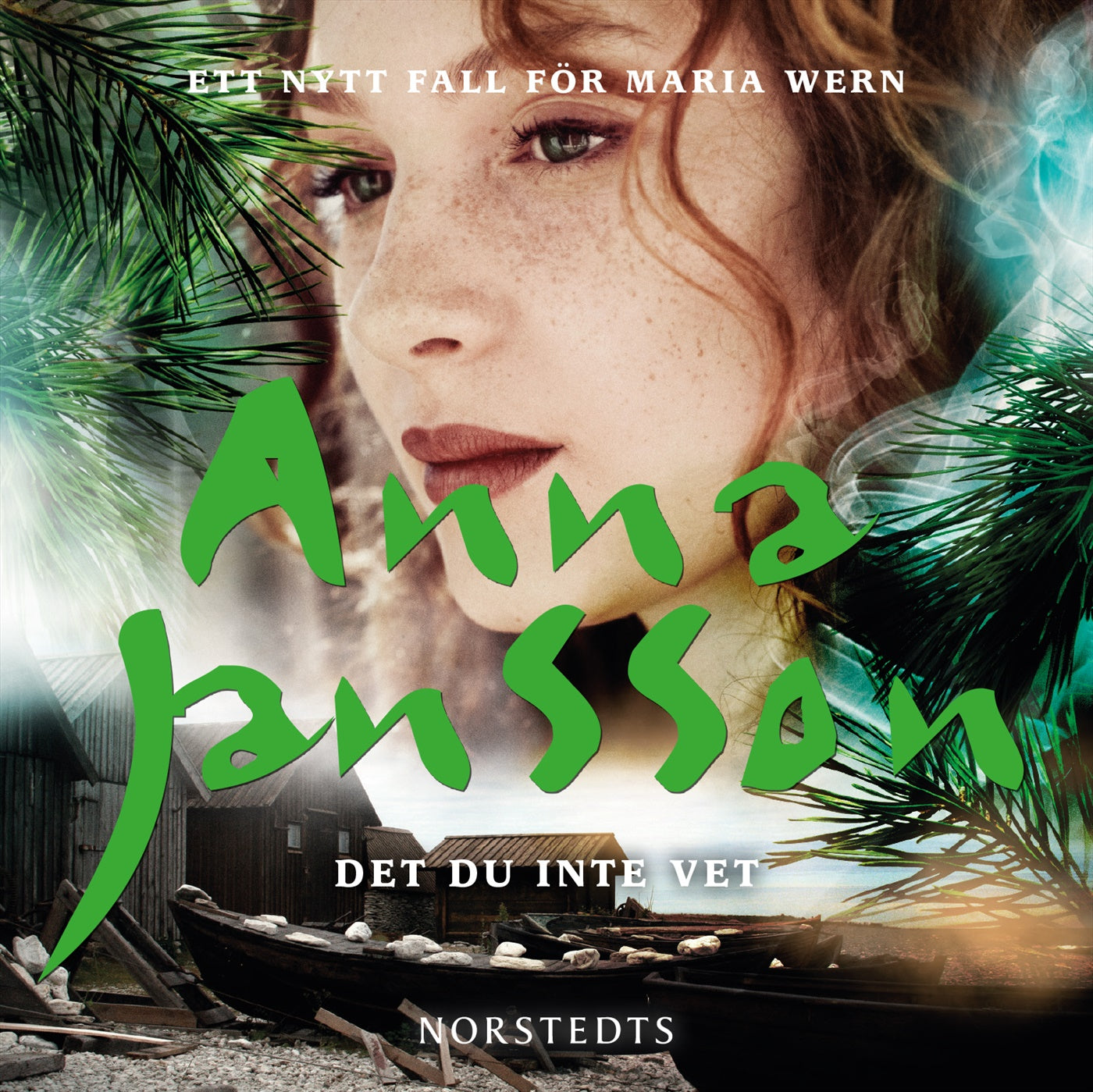 Det du inte vet – Ljudbok