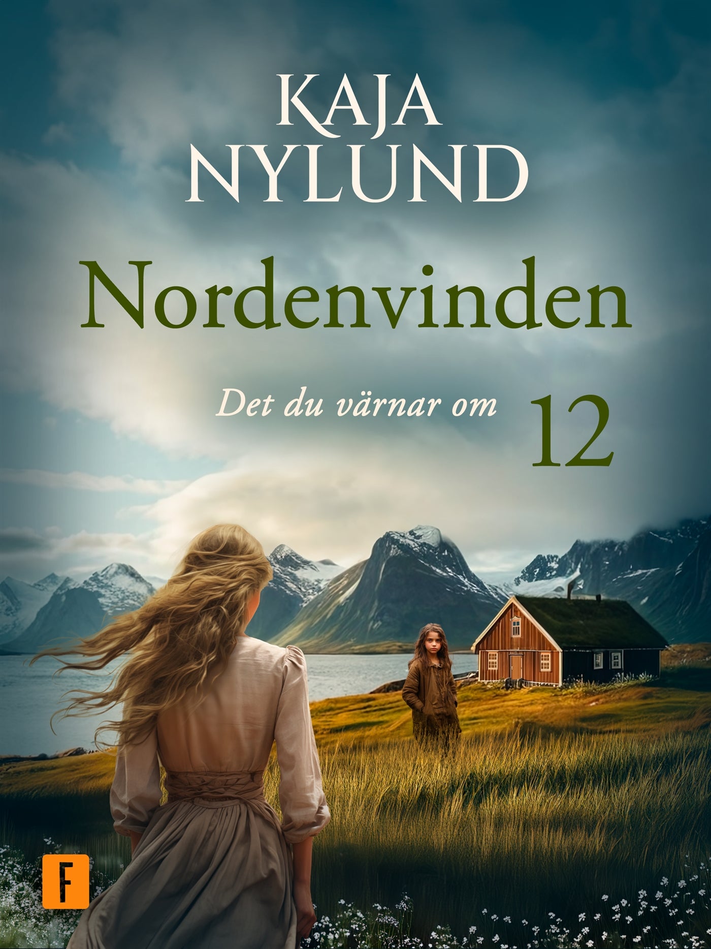 Det du värnar om – E-bok