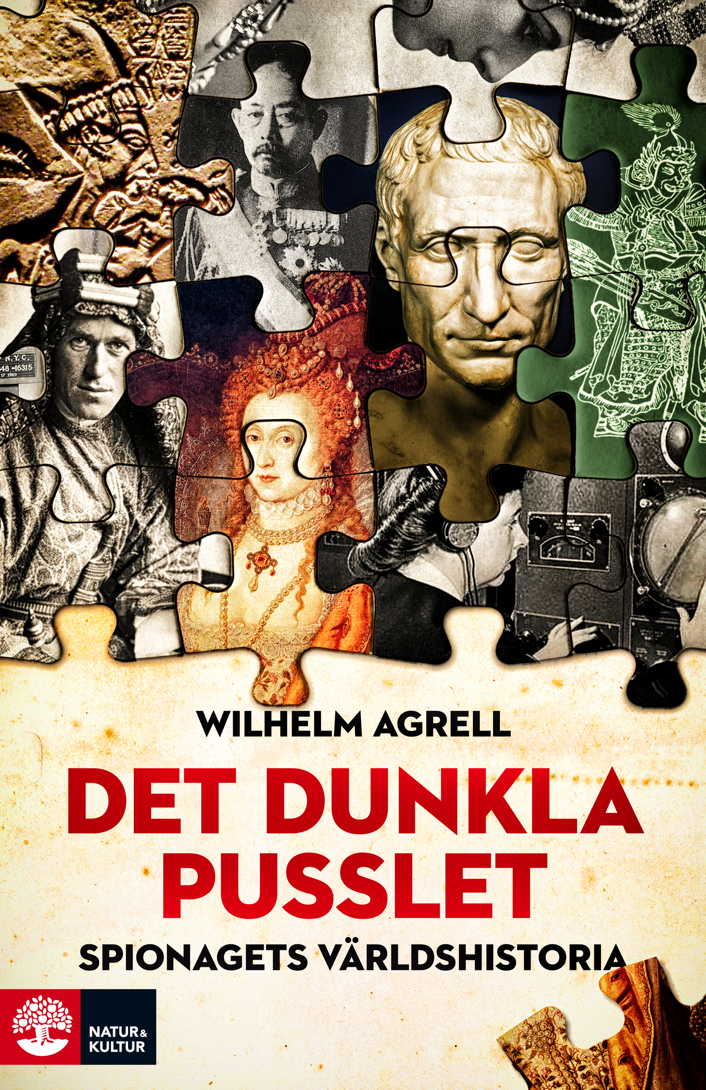 Det dunkla pusslet : Spionagets världshistoria - Digital - Laddas ner