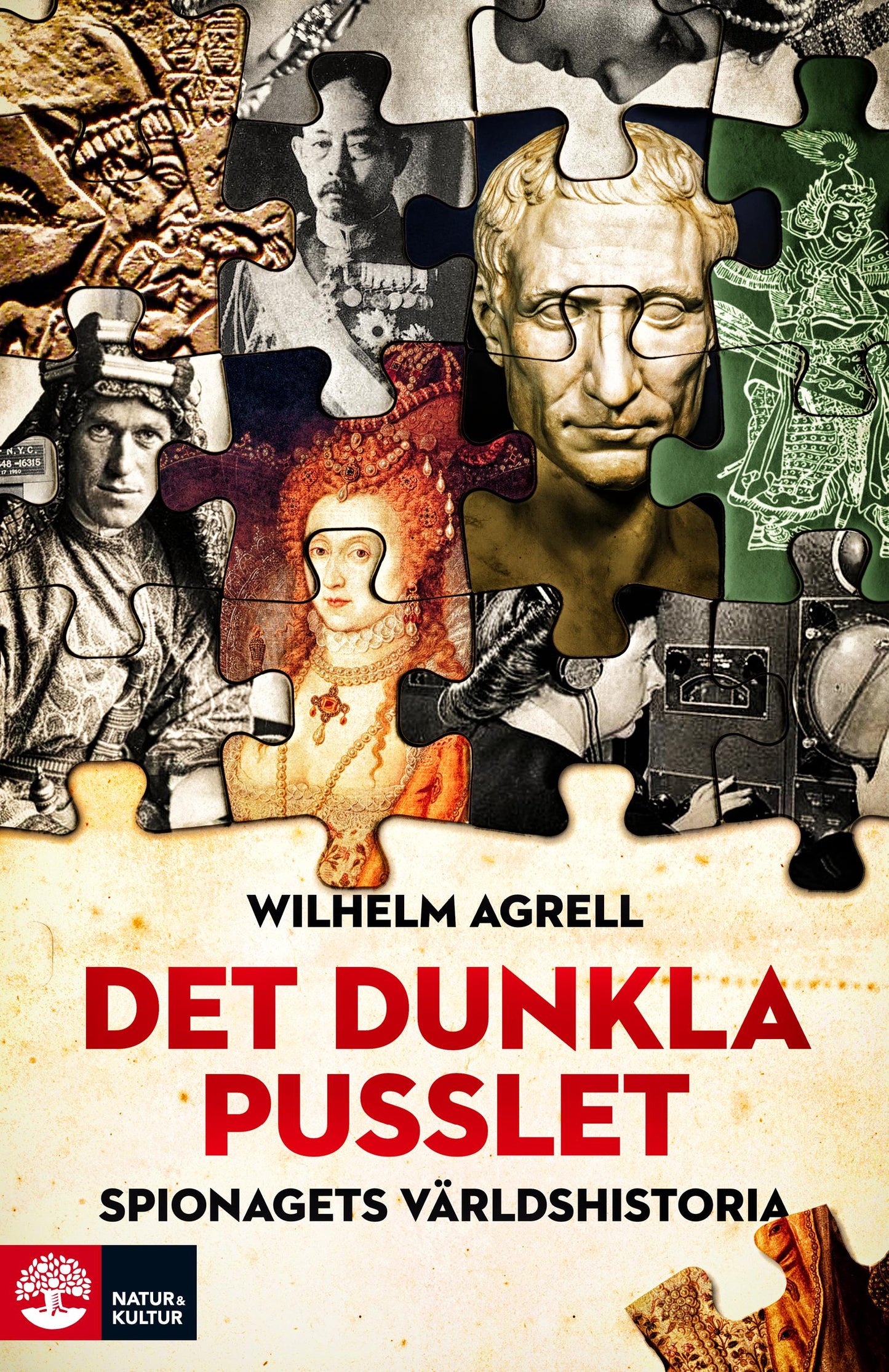 Det dunkla pusslet : Spionagets världshistoria – E-bok