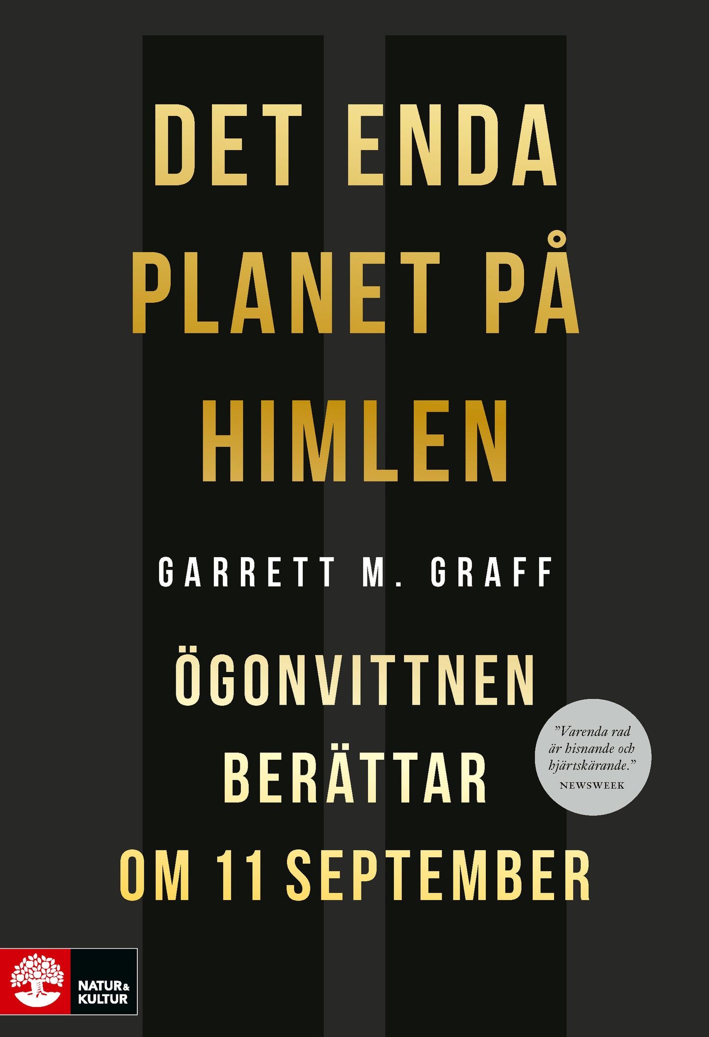 Det enda planet på himlen : ögonvittnen berättar om 11 september – E-bok