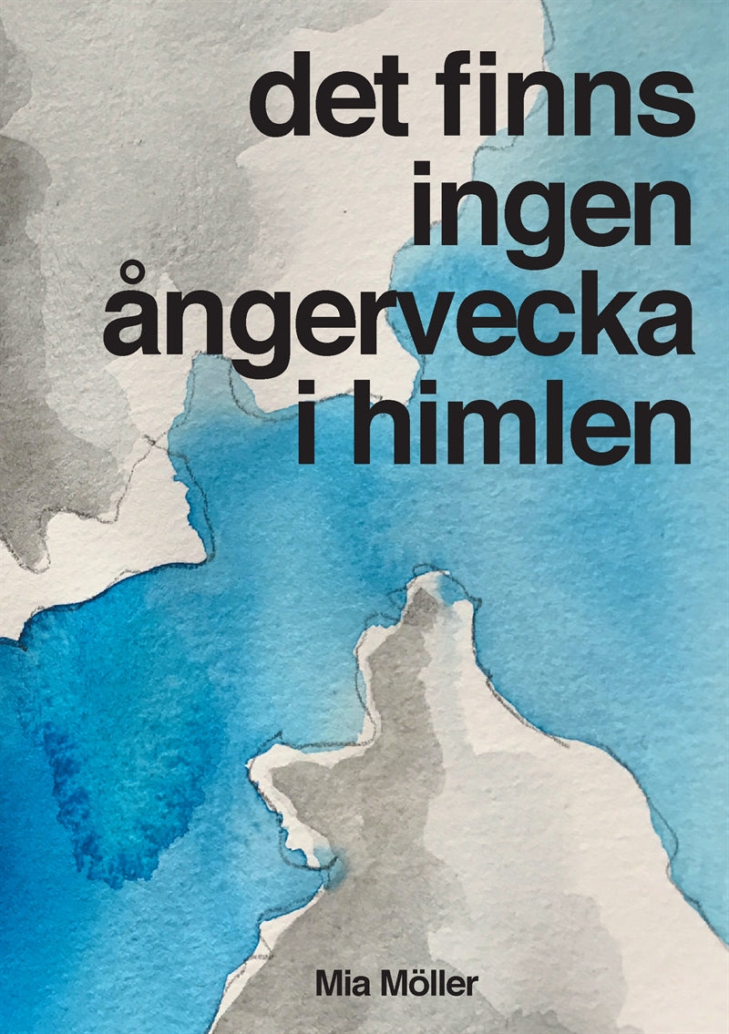 Det finns ingen ångervecka i himlen – E-bok
