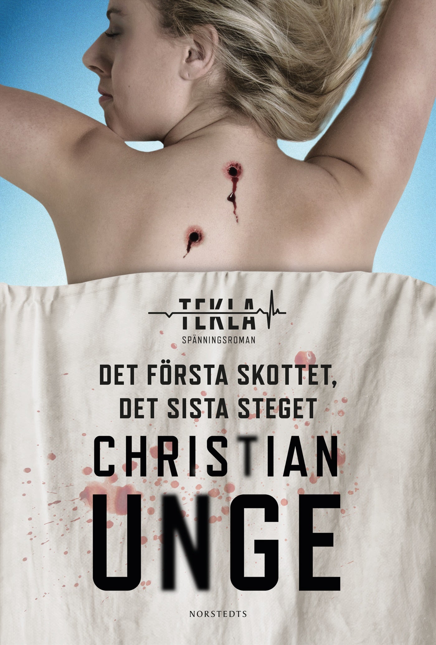 Det första skottet, det sista steget – E-bok