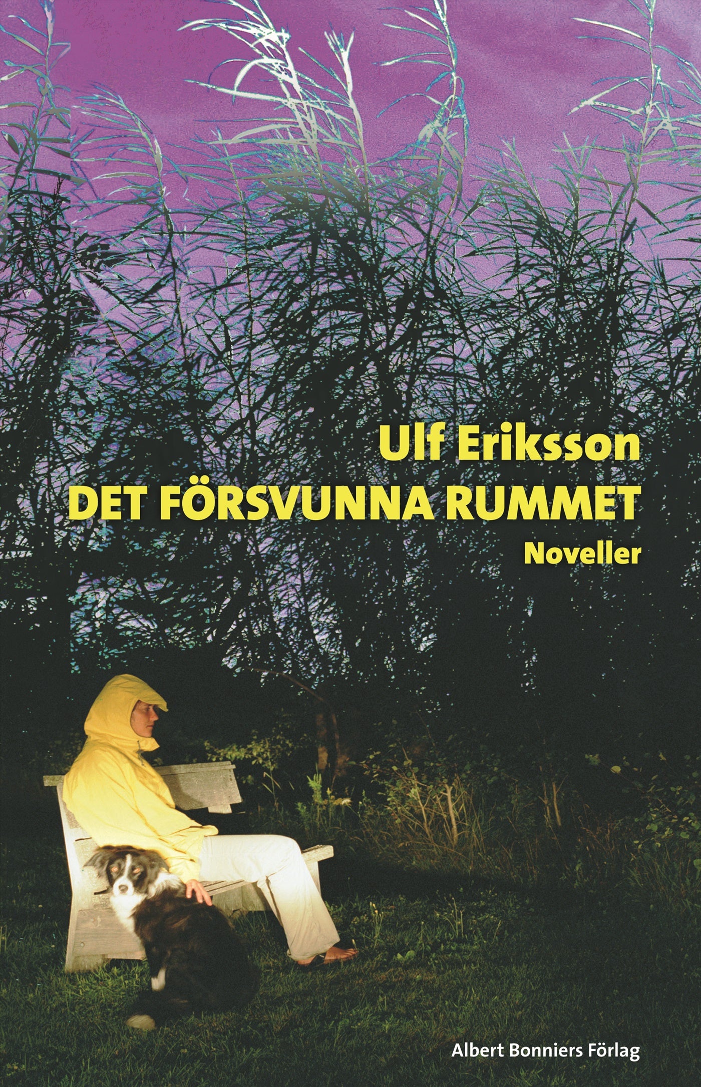 Det försvunna rummet – E-bok