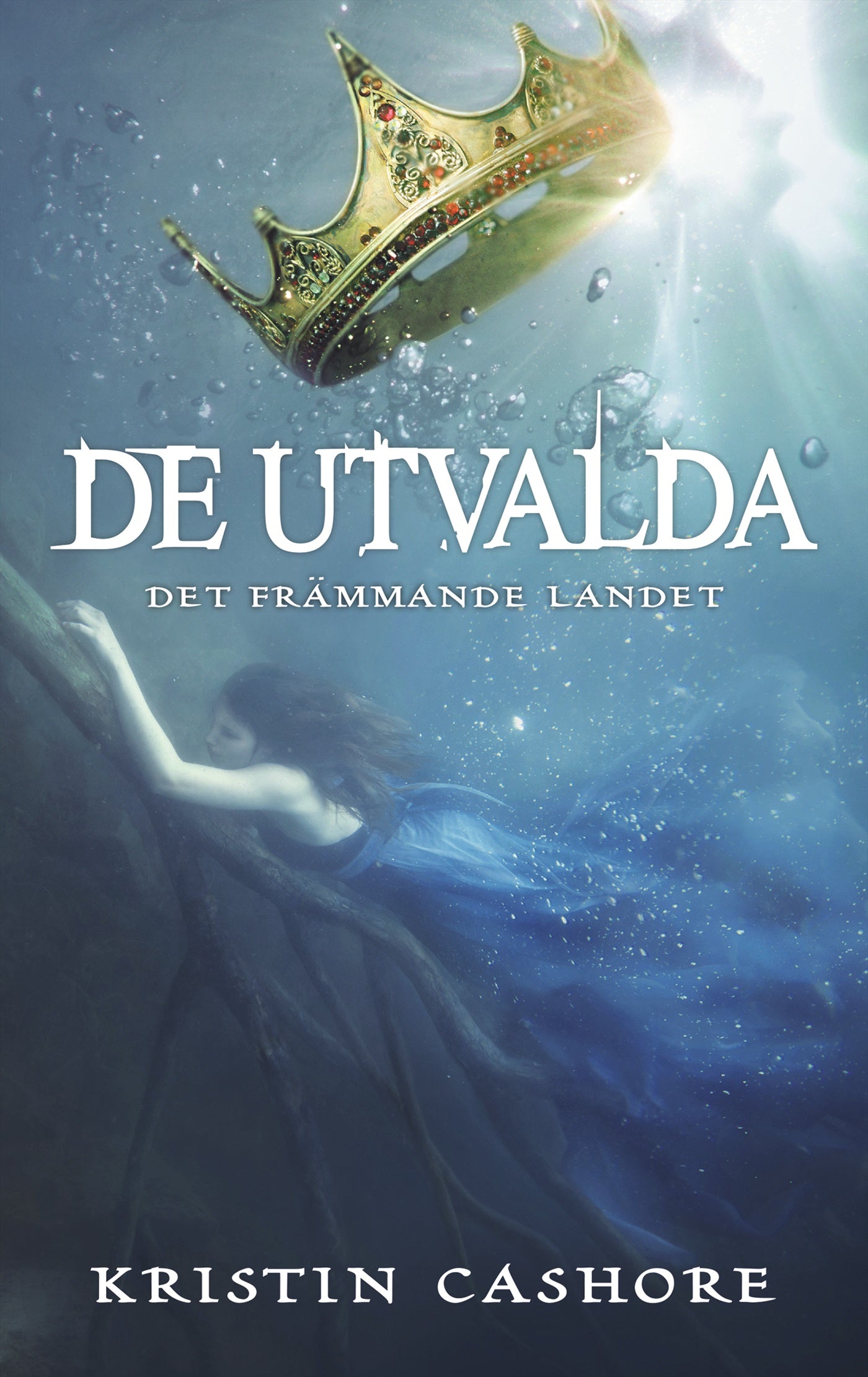 Det främmande landet – E-bok