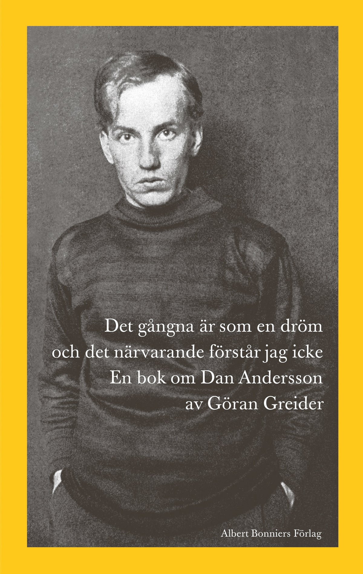 Det gångna är som en dröm och det närvarande förstår jag icke : en bok om Dan Andersson – E-bok