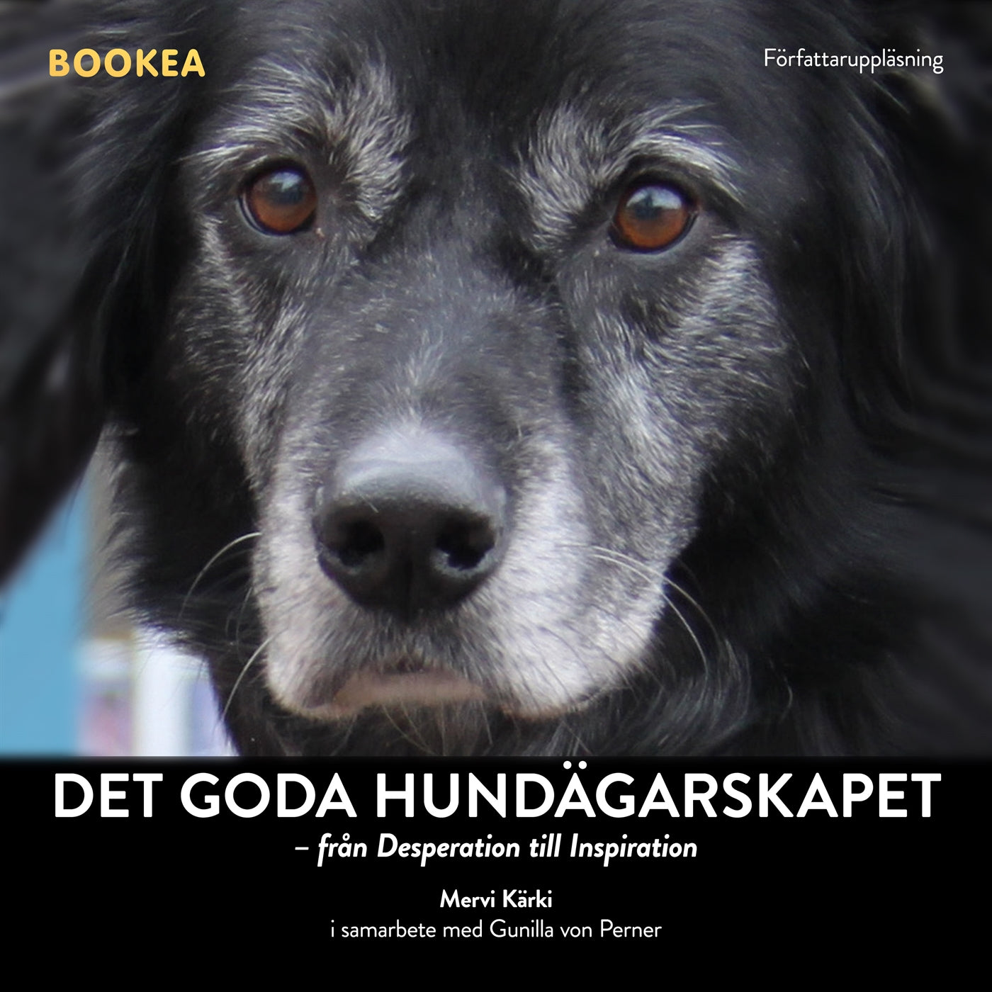 Det goda hundägarskapet : från desperation till inspiration – Ljudbok