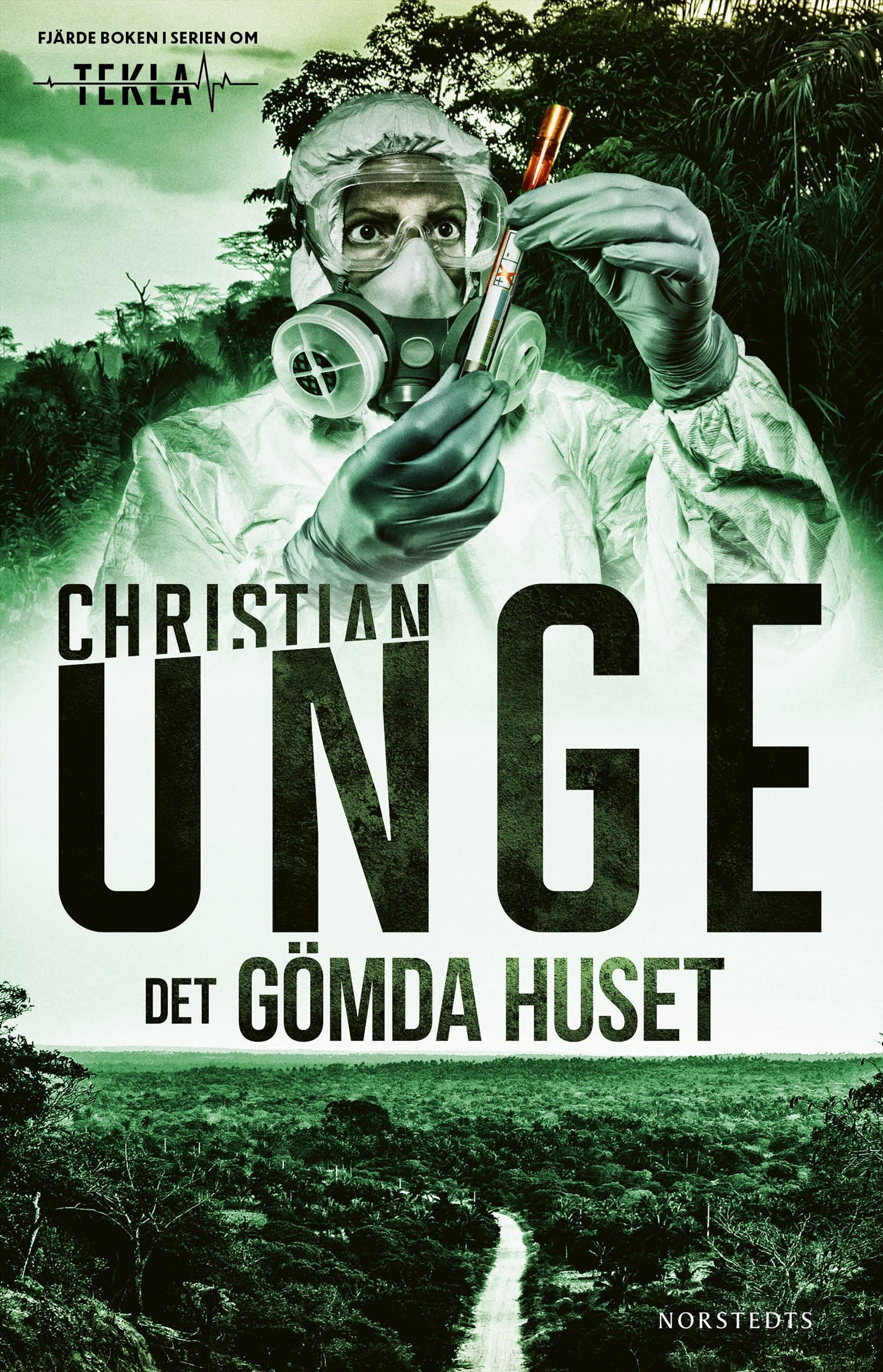 Det gömda huset – E-bok