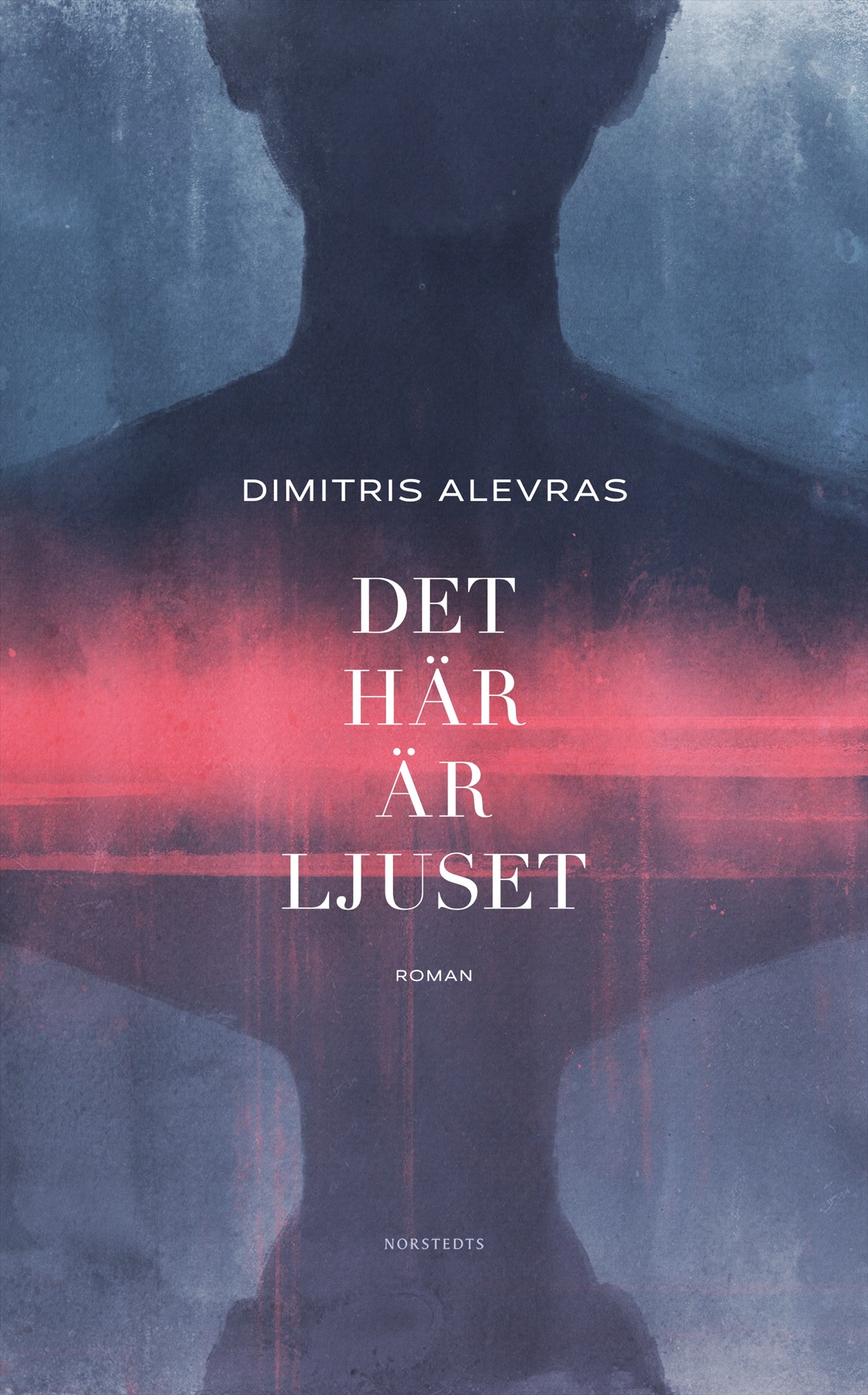 Det här är ljuset – E-bok