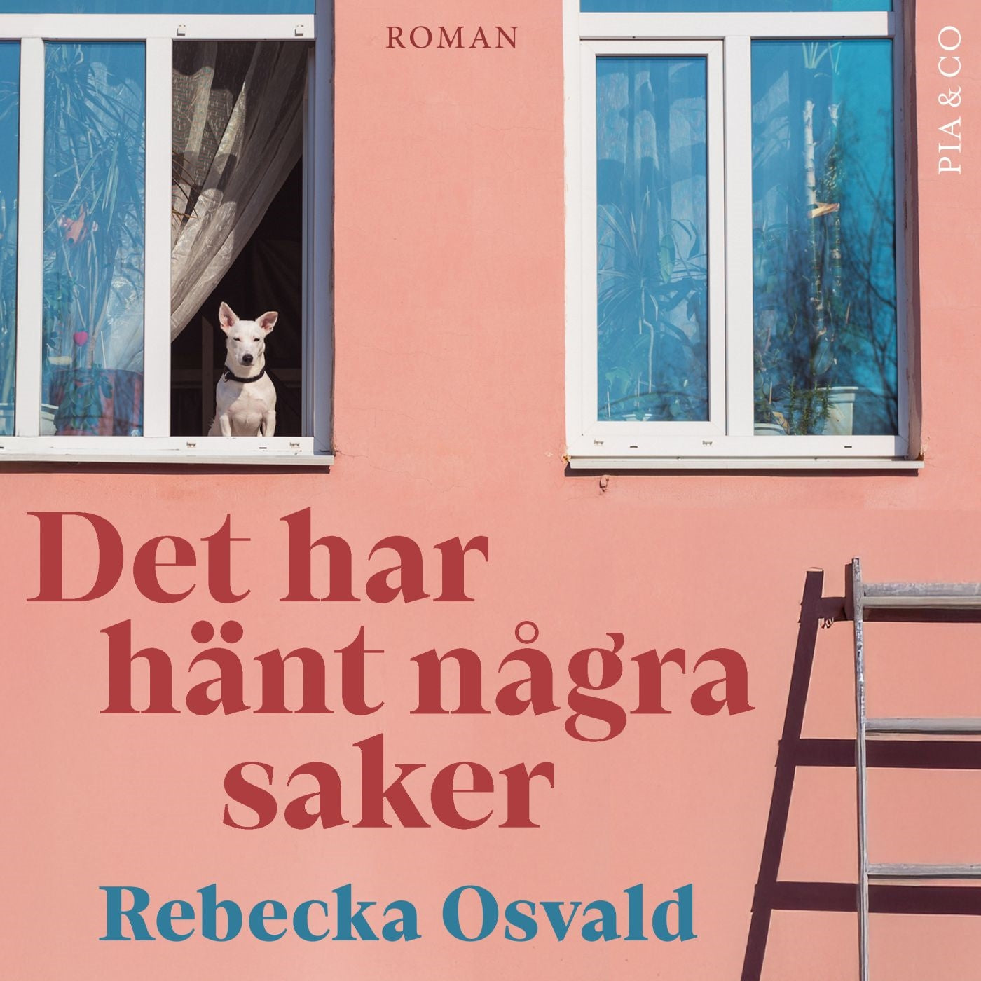 Det har hänt några saker – Ljudbok