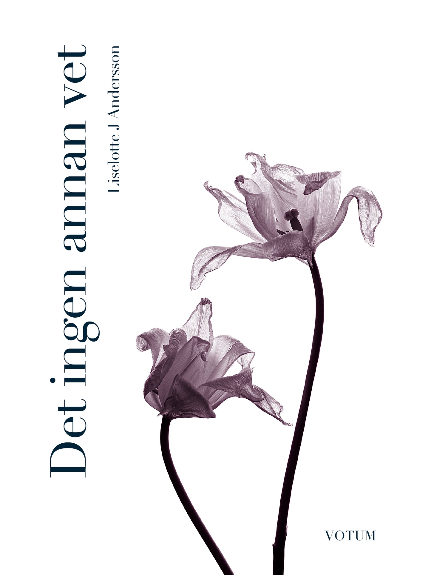 Det ingen annan vet – Ljudbok