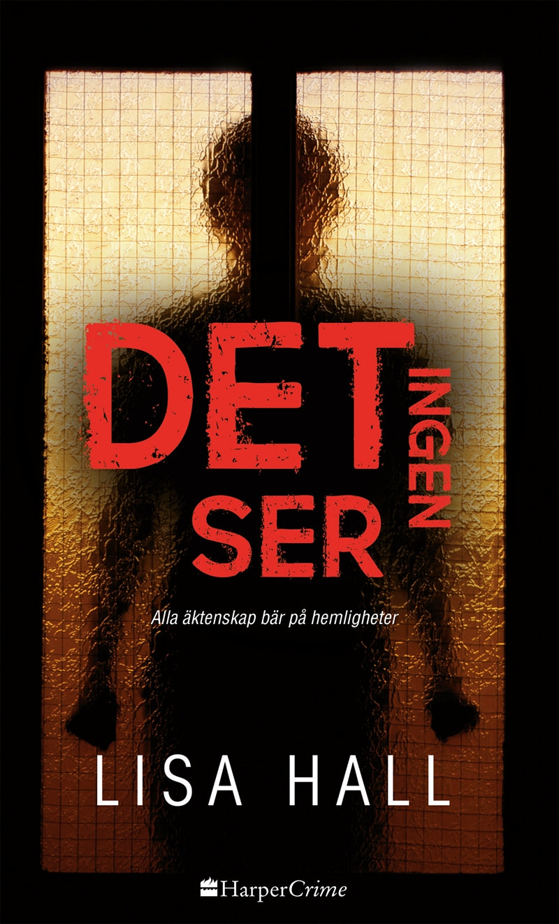Det ingen ser – E-bok