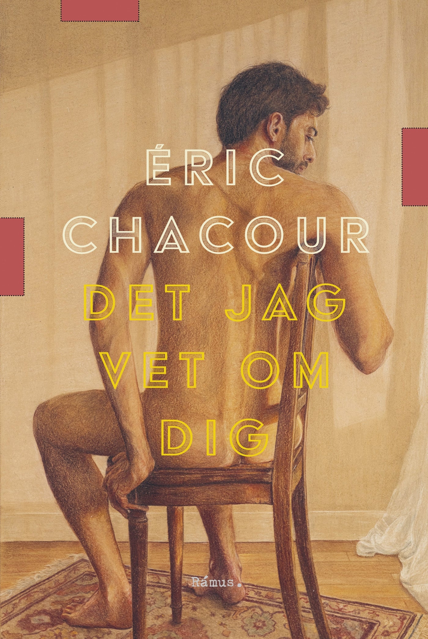 Det jag vet om dig – E-bok