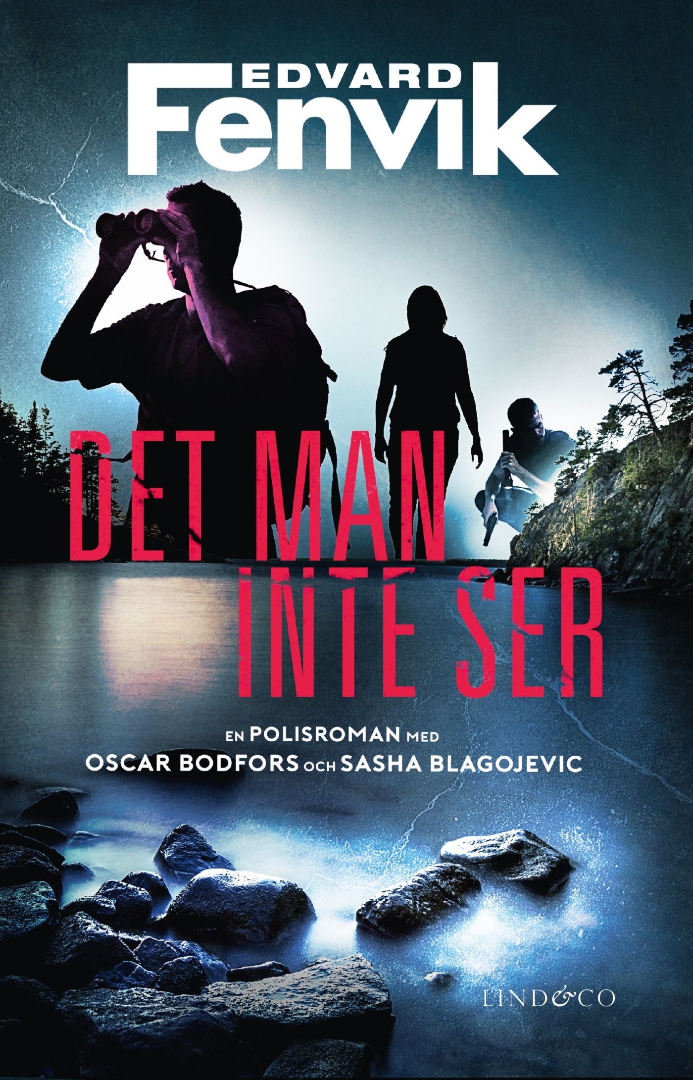 Det man inte ser – E-bok