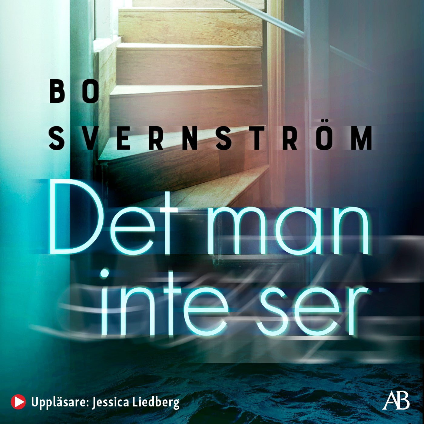 Det man inte ser – Ljudbok