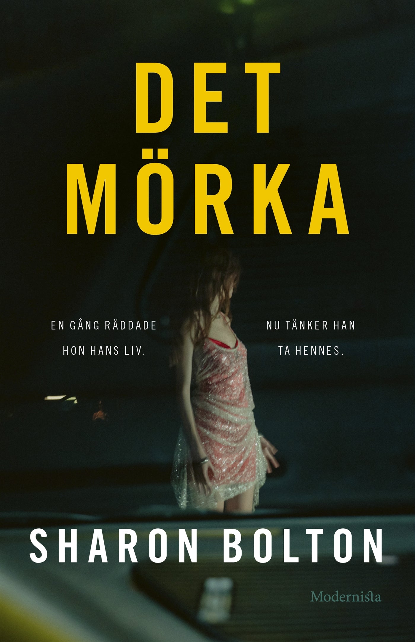 Det mörka – E-bok