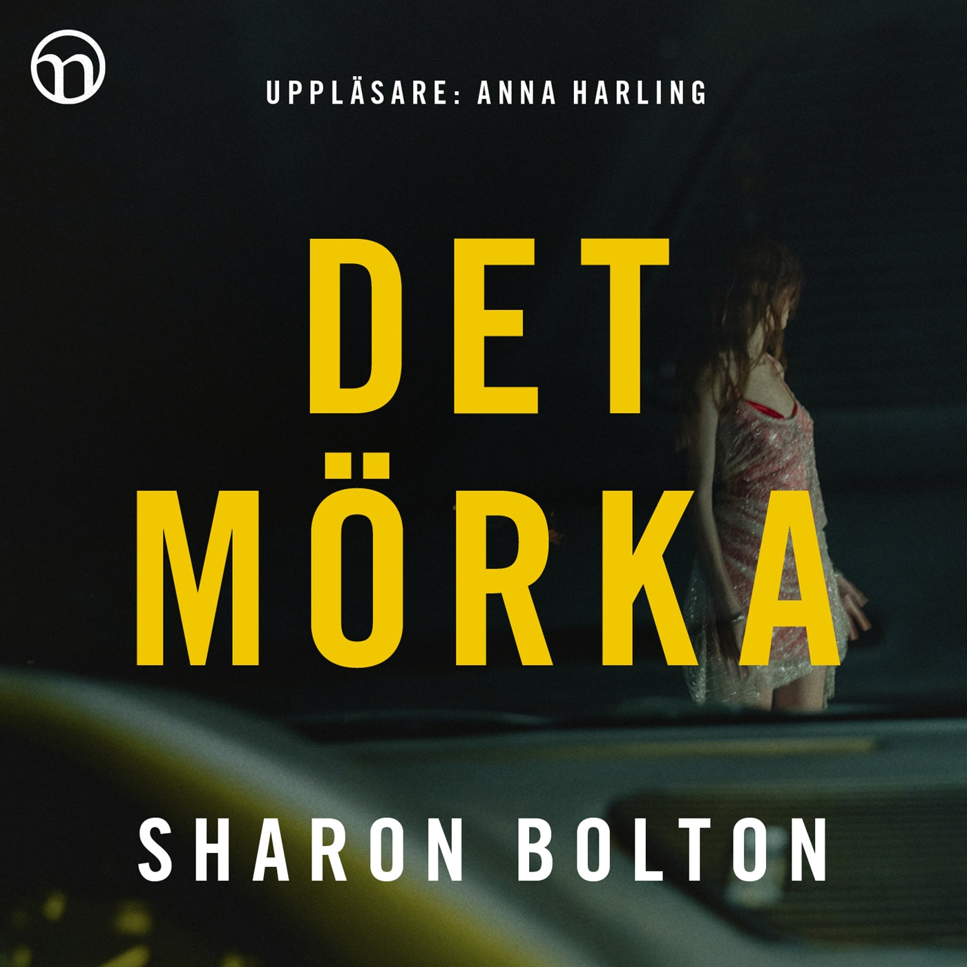 Det mörka – Ljudbok