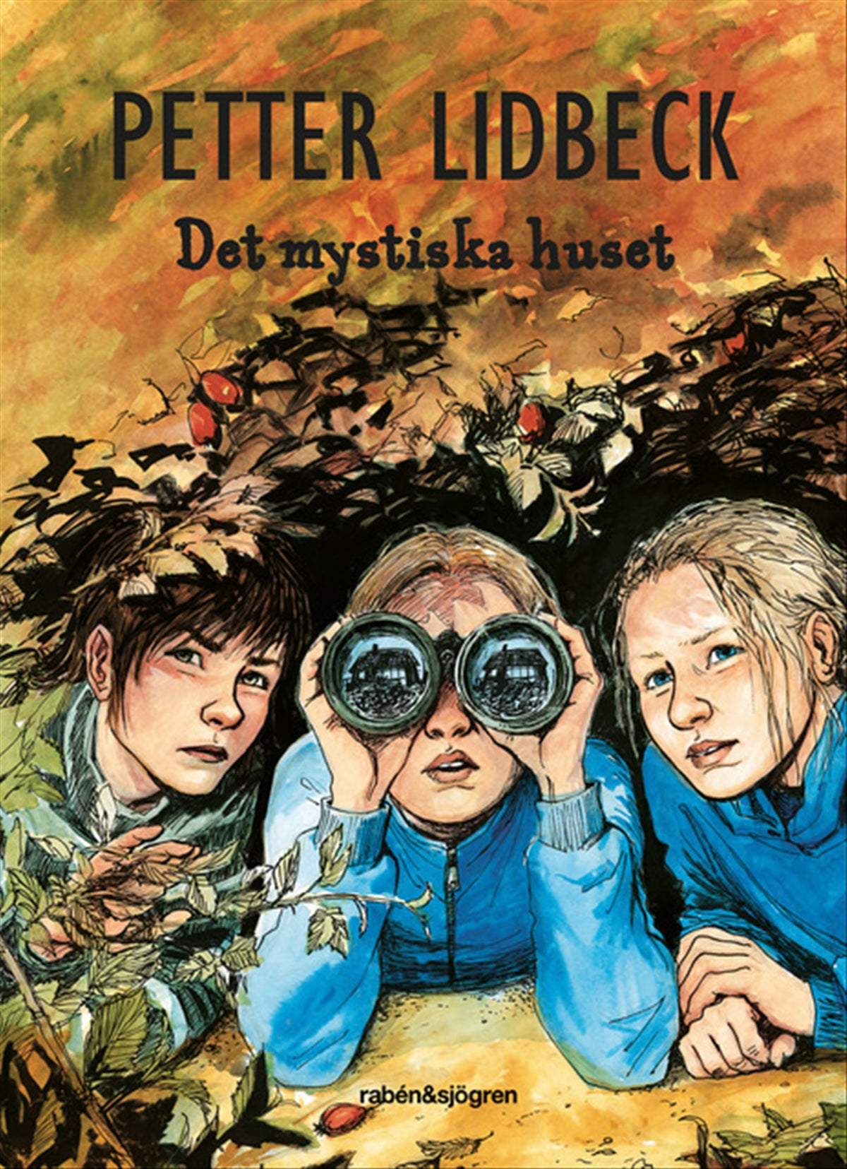 Det mystiska huset – E-bok