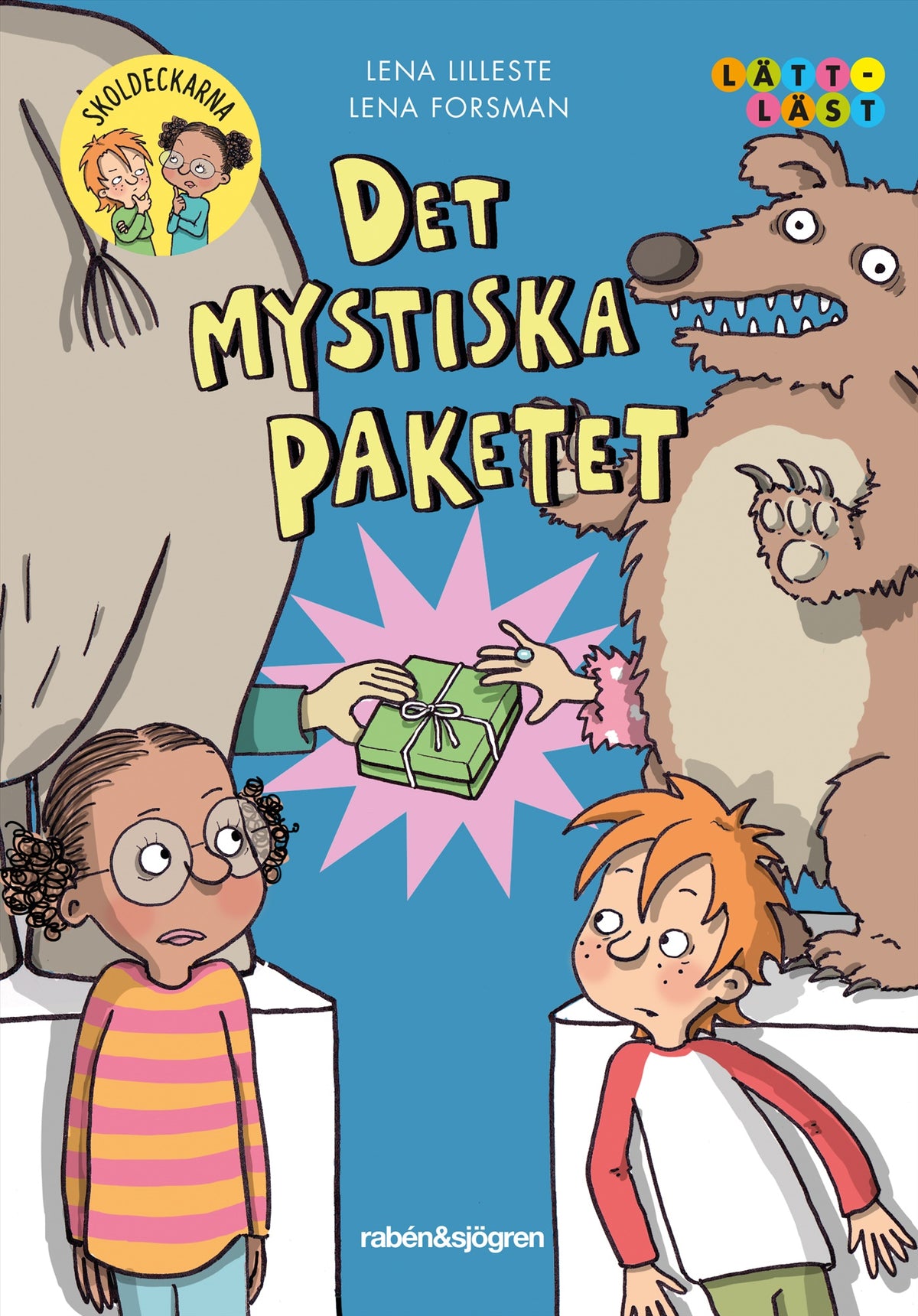 Det mystiska paketet – E-bok