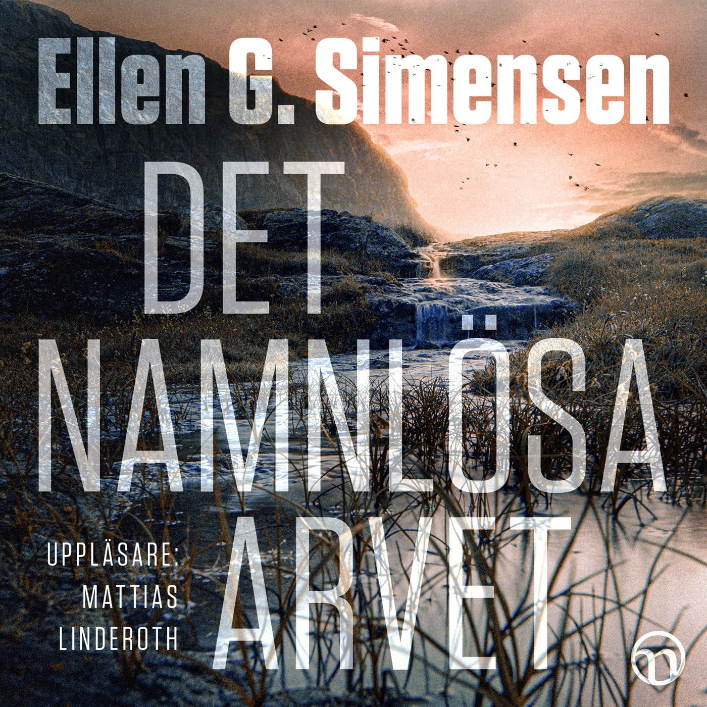 Det namnlösa arvet – Ljudbok