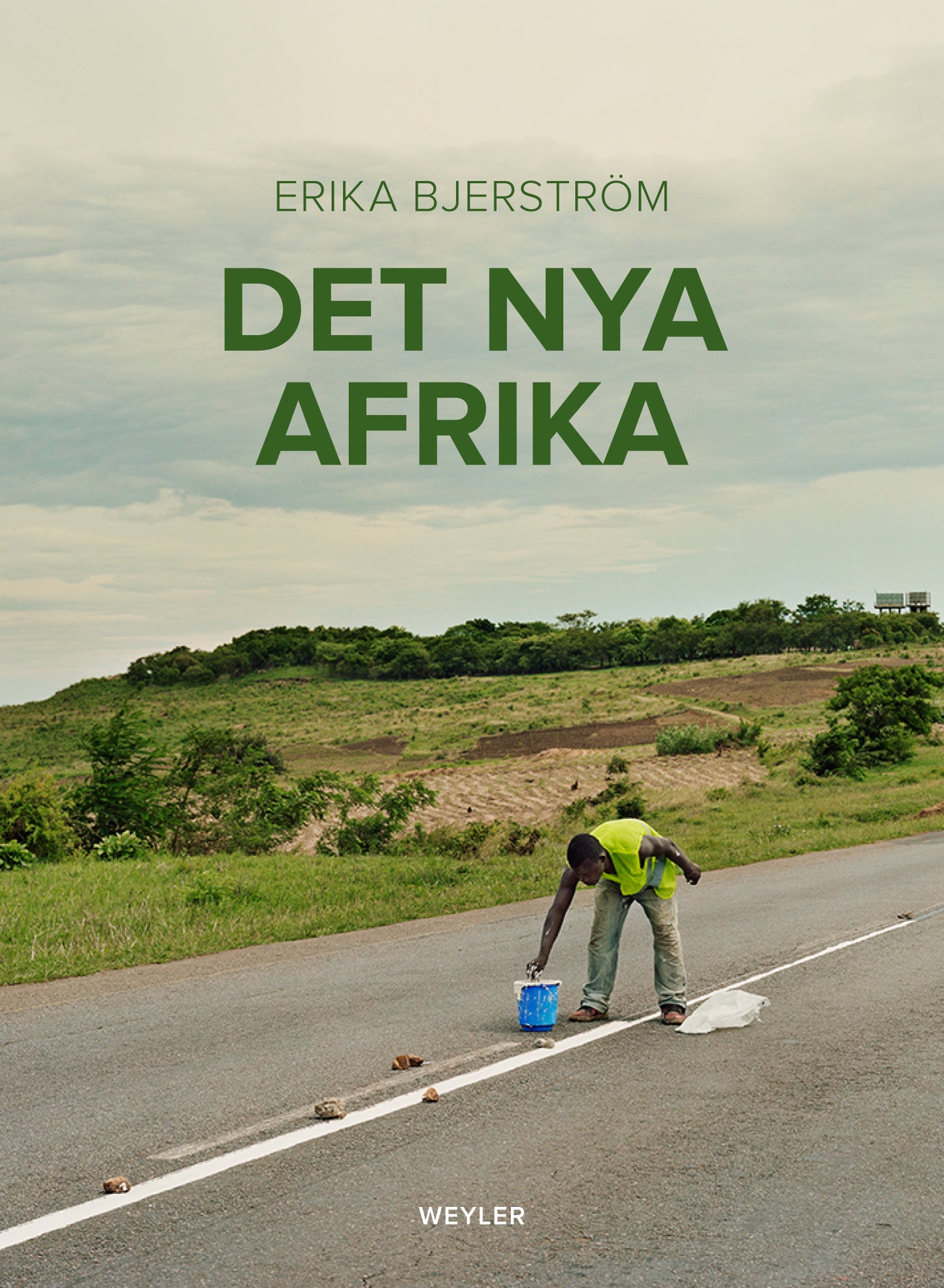 Det nya Afrika – E-bok