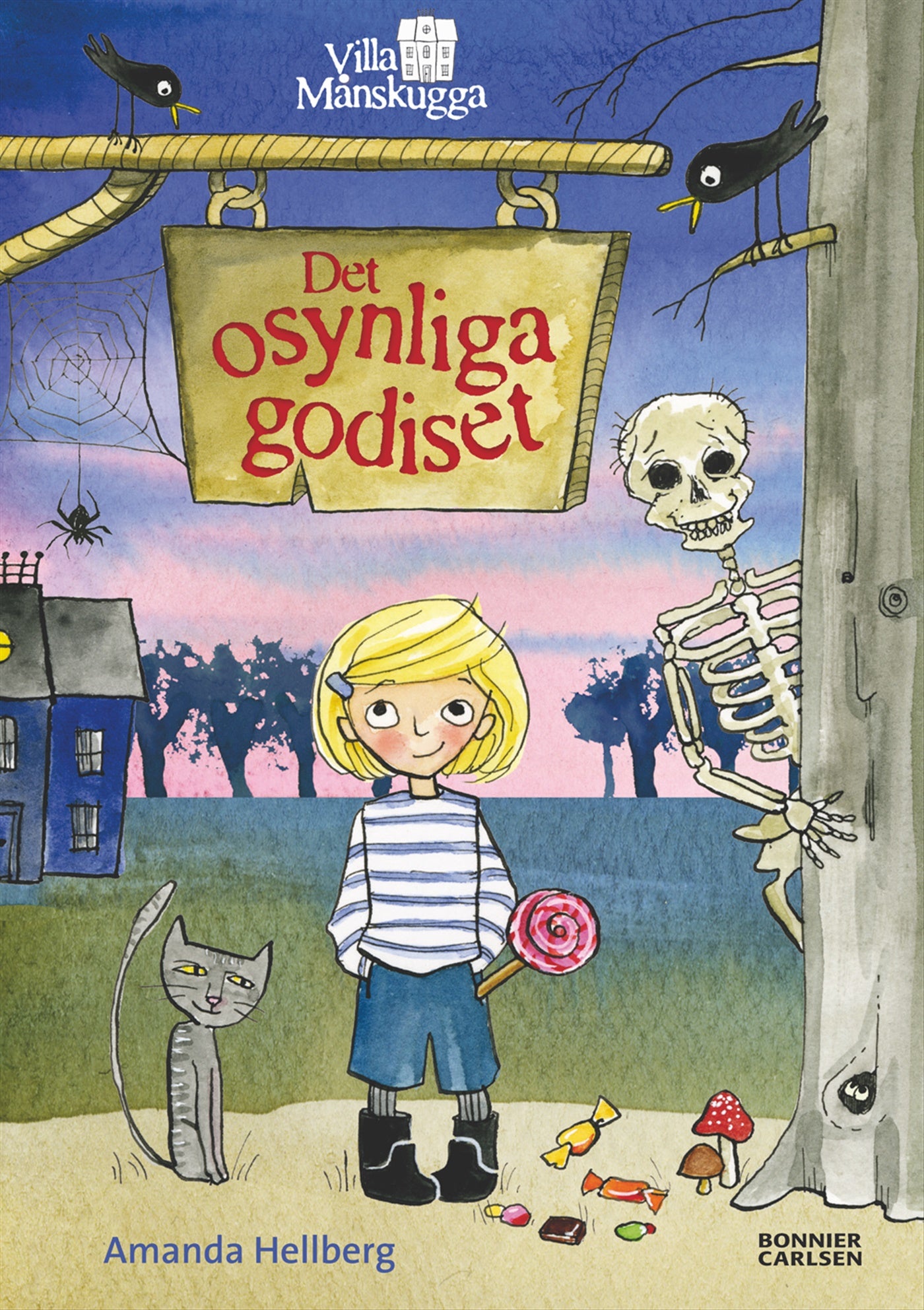 Det osynliga godiset – E-bok