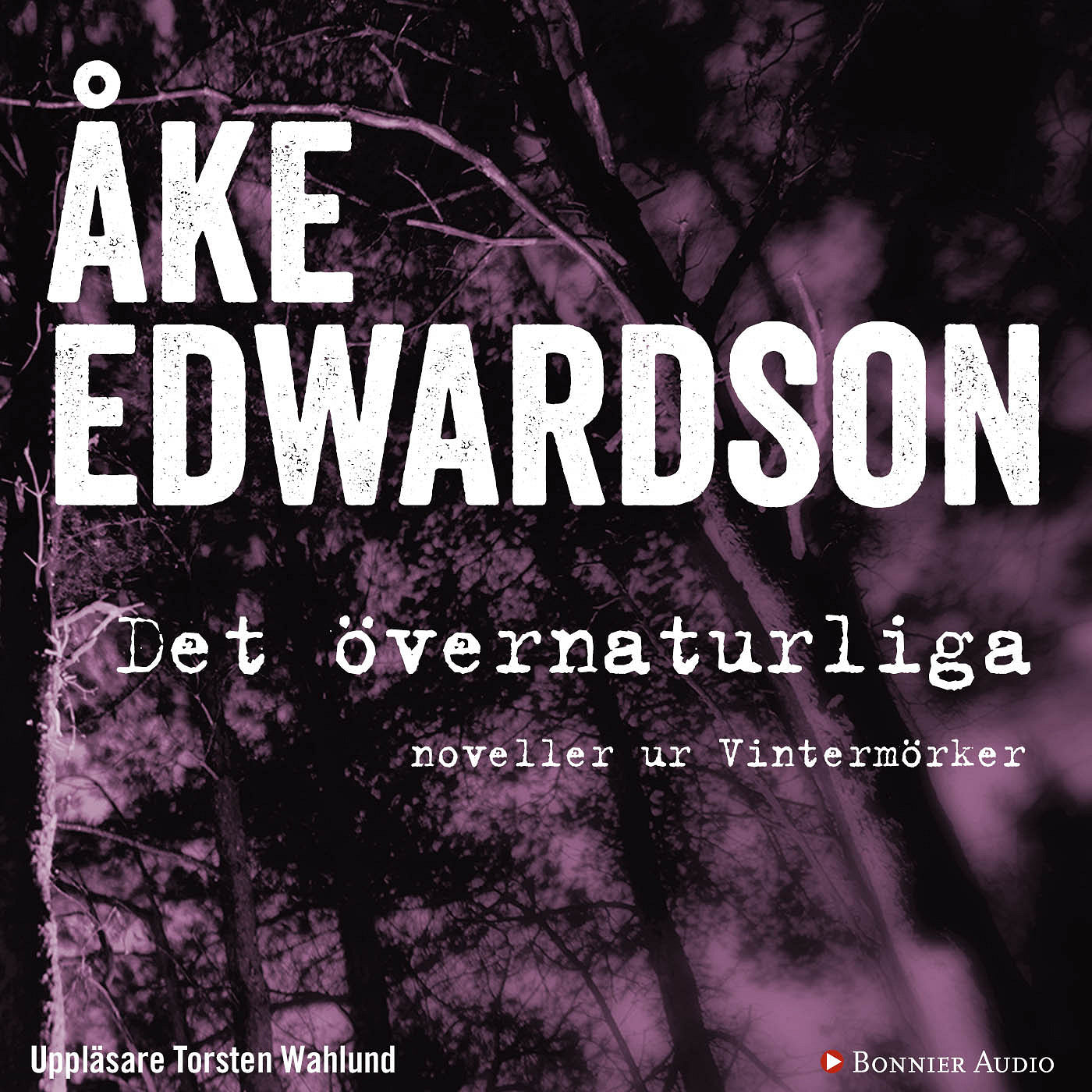 Det övernaturliga : noveller ur Vintermörker – Ljudbok