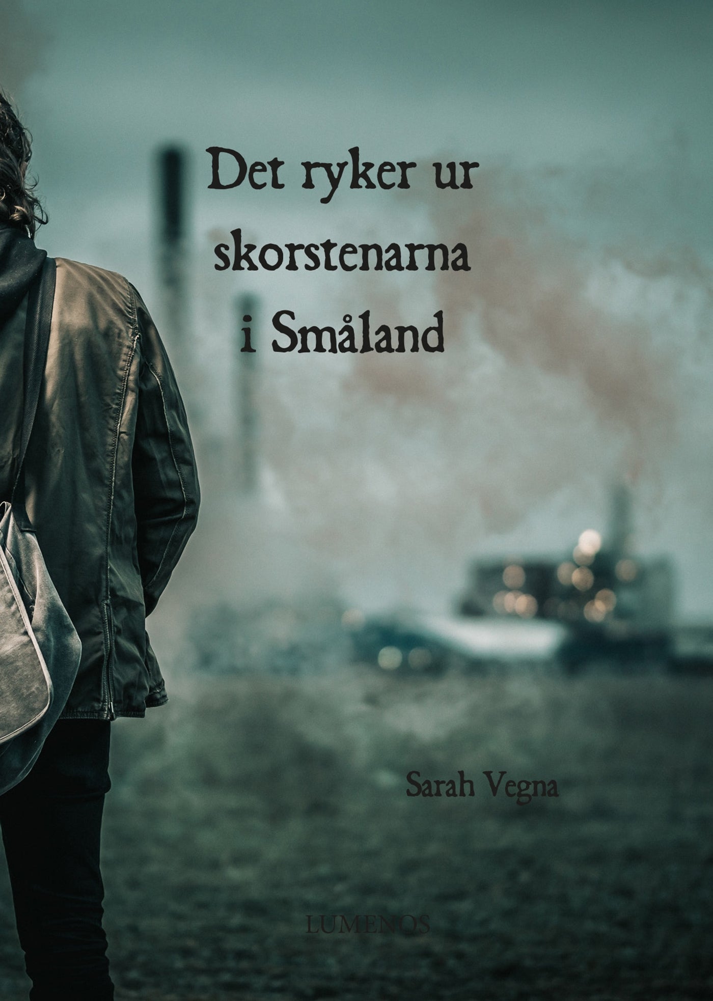 Det ryker ur skorstenarna i Småland – E-bok