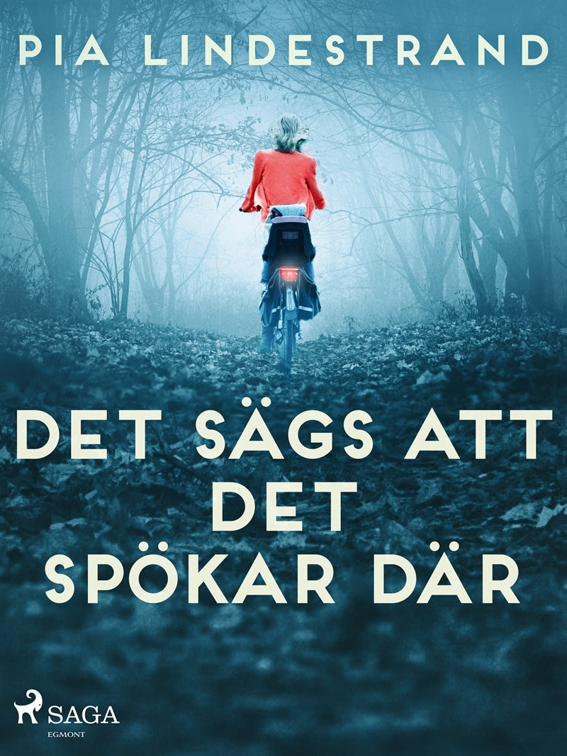 Det sägs att det spökar där – E-bok