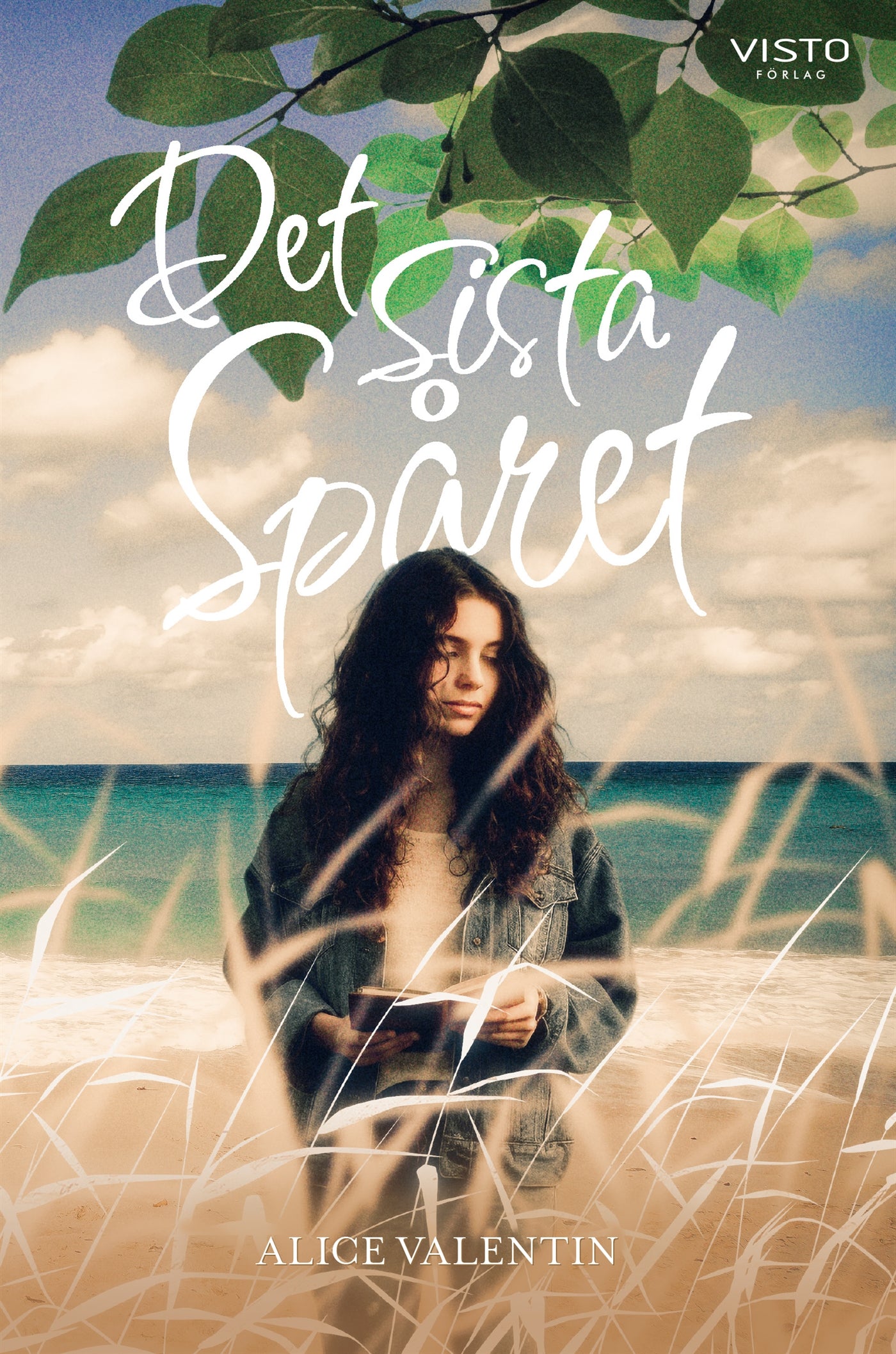 Det sista spåret – E-bok